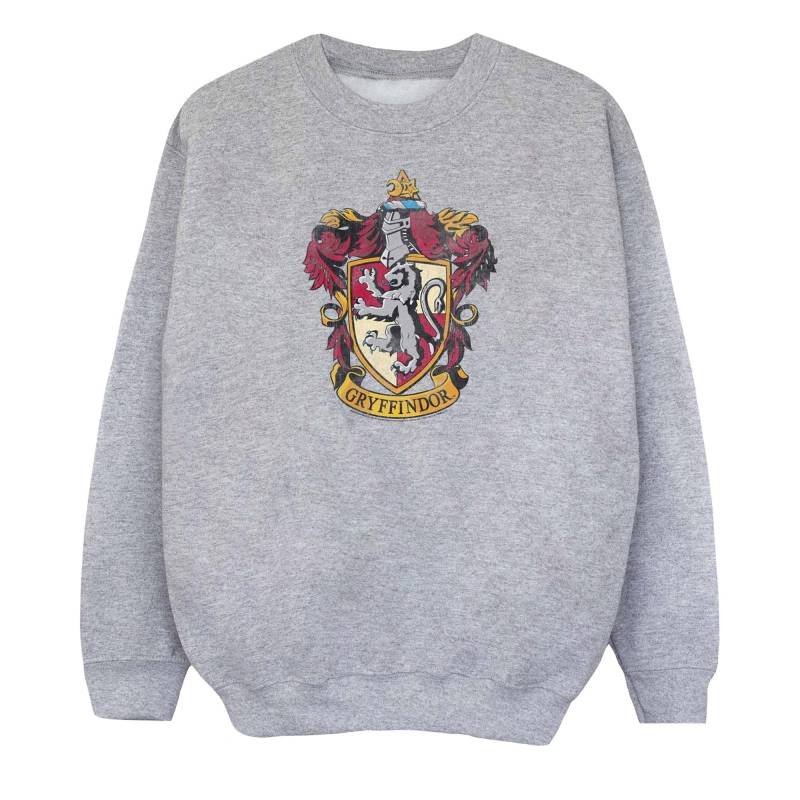 Sweatshirt Mädchen Grau 152-158 von Harry Potter