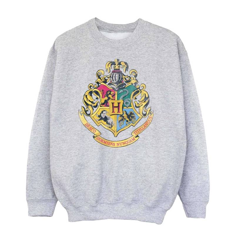 Harry Potter - Sweatshirt, 116, Grau von Harry Potter