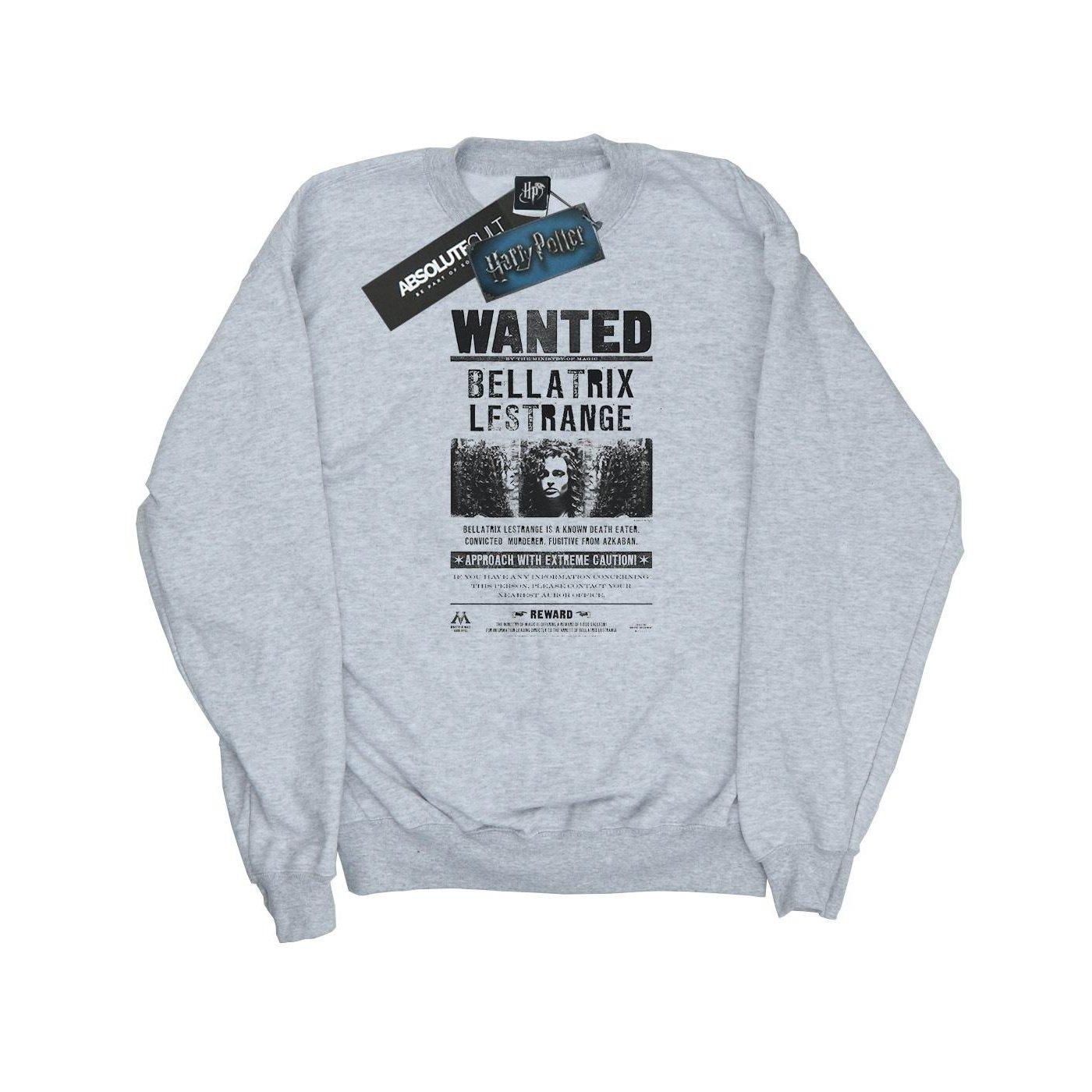 Harry Potter - Wanted Sweatshirt, für Damen, Grau, Größe L von Harry Potter