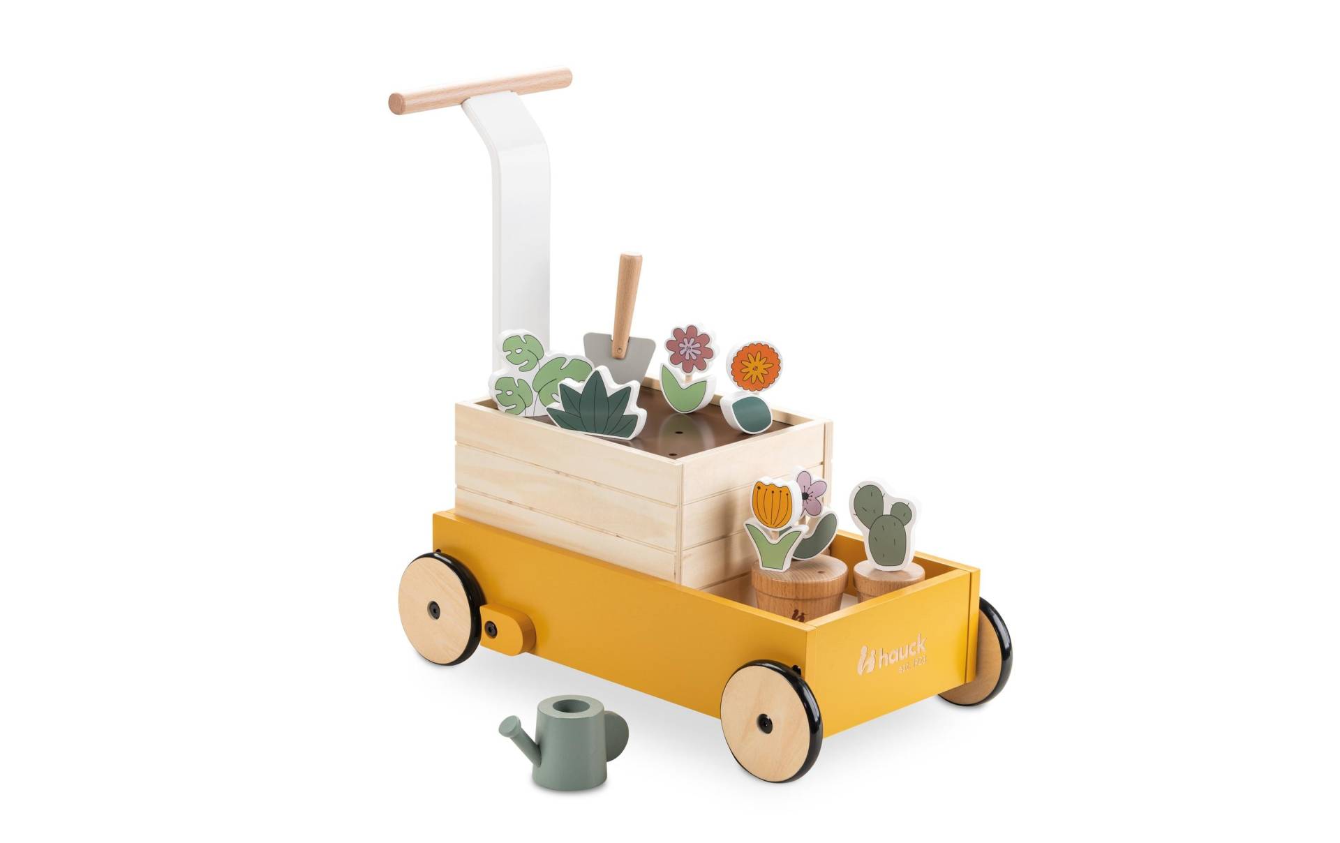 Hauck Lauflernwagen »Learn to Walk Plants« Hauck Lauflernwagen »Learn to Walk Plants« von Hauck