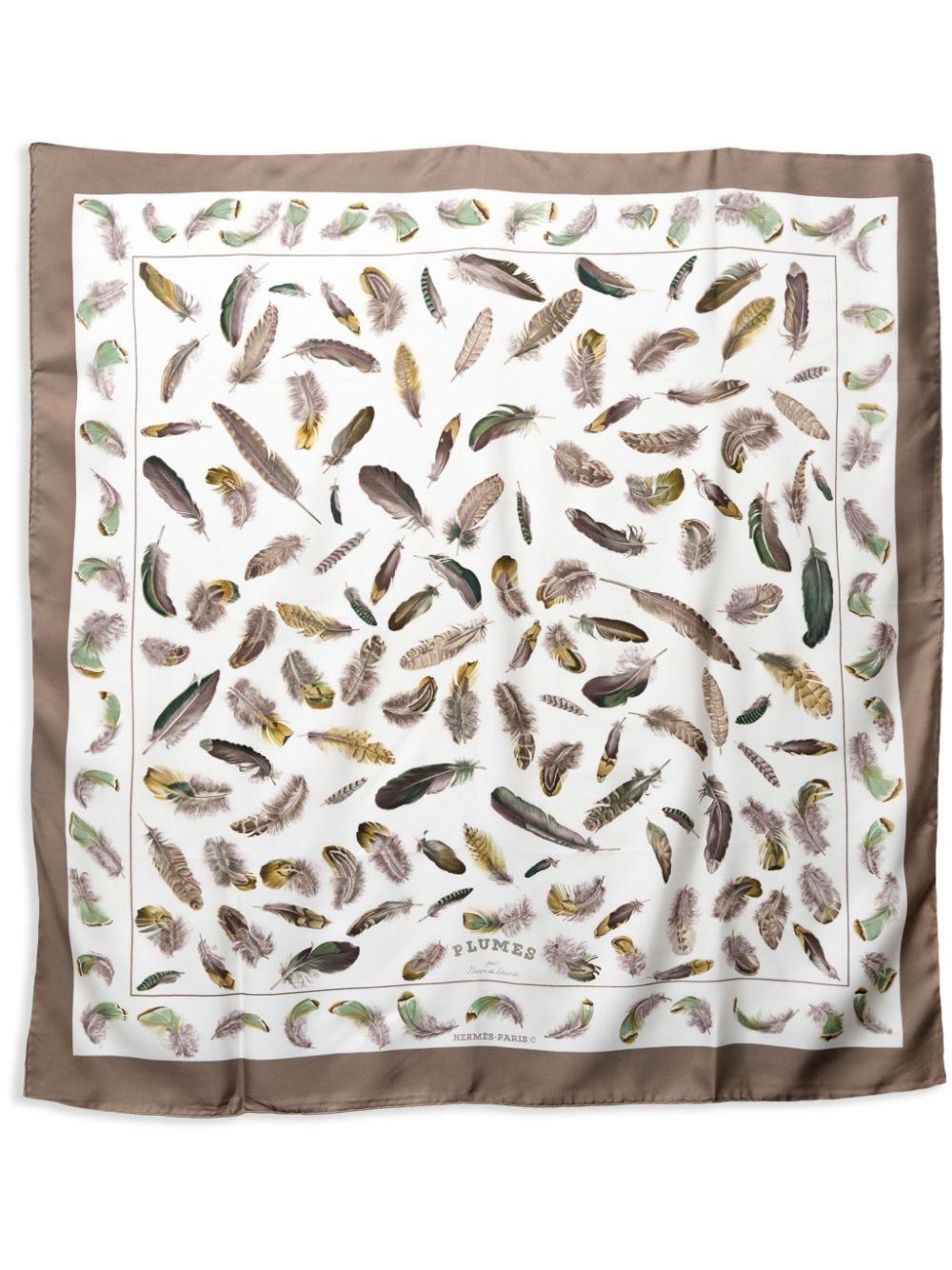 Hermès Pre-Owned 1980 Plumes silk scarf - Brown von Hermès Pre-Owned