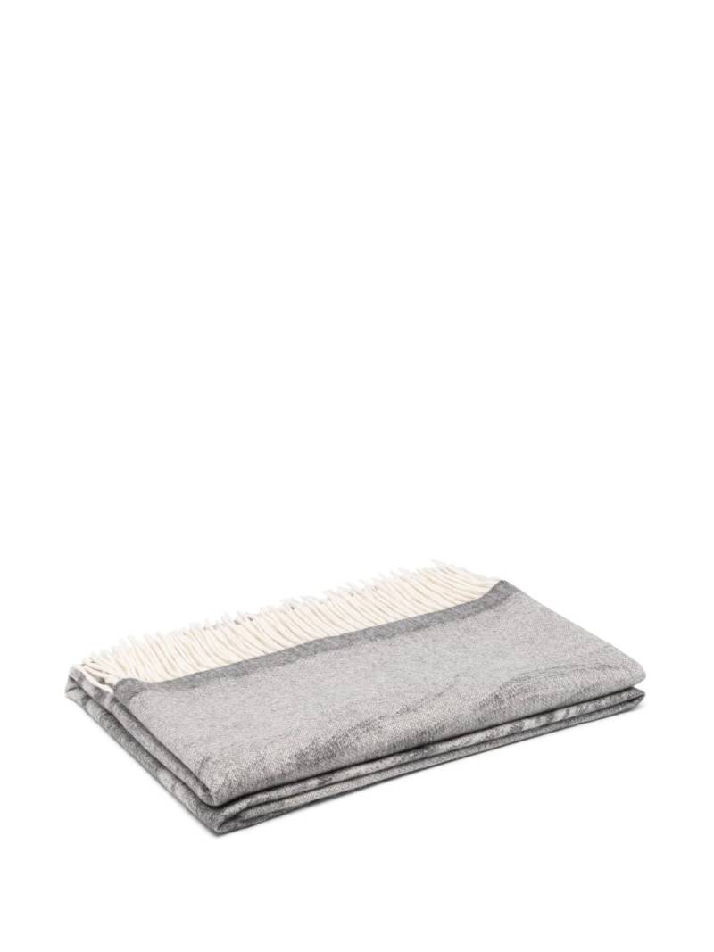 Hermès Pre-Owned 2020s Chita-print cashmere blanket - Grey von Hermès Pre-Owned