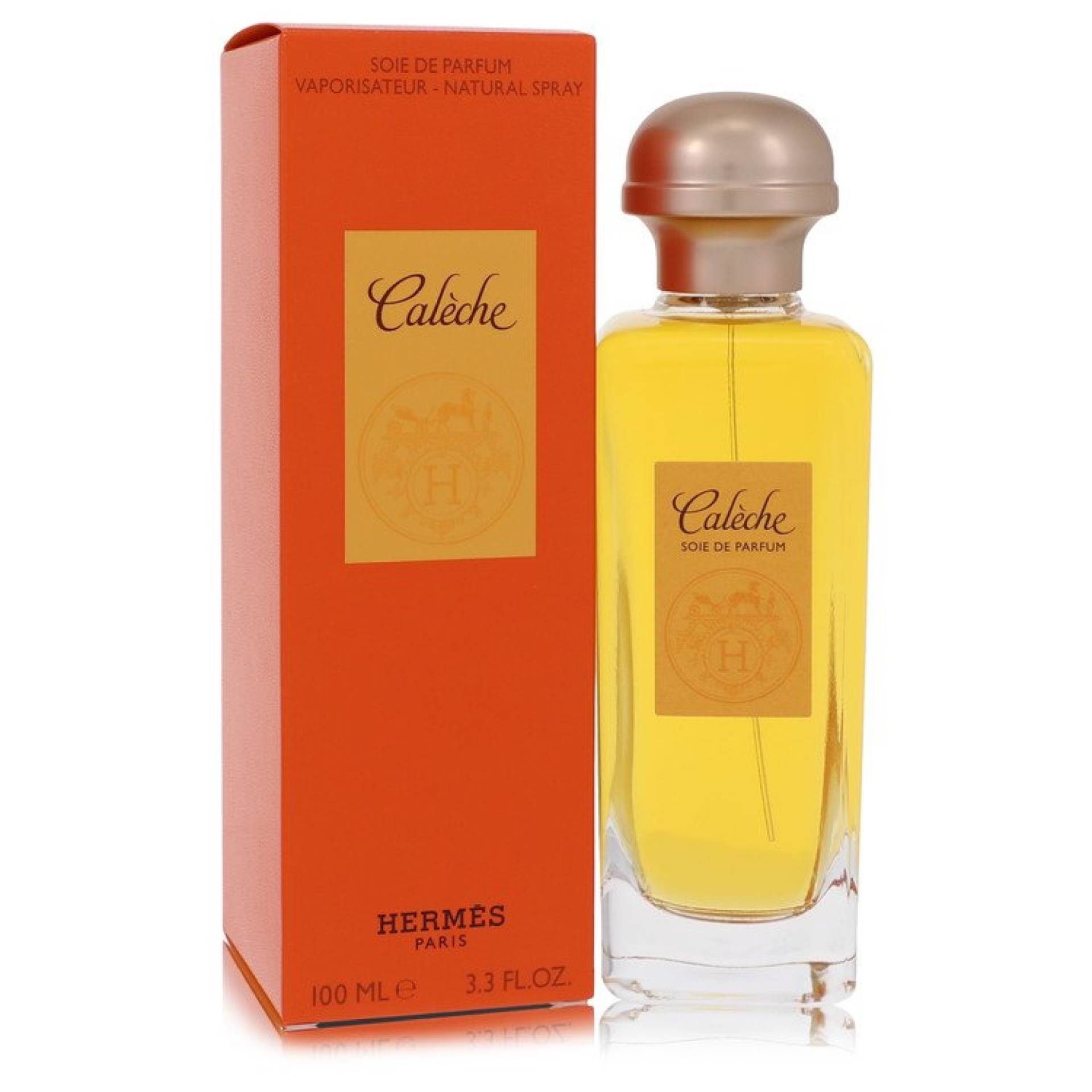 Hermes CALECHE Soie De Parfum Spray 100 ml von Hermes