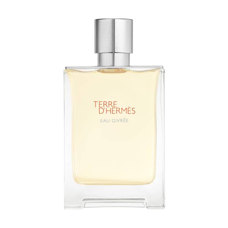 Hermès Terre d’Hermès Eau Givrée Eau de Parfum 100ml Herren von Hermès