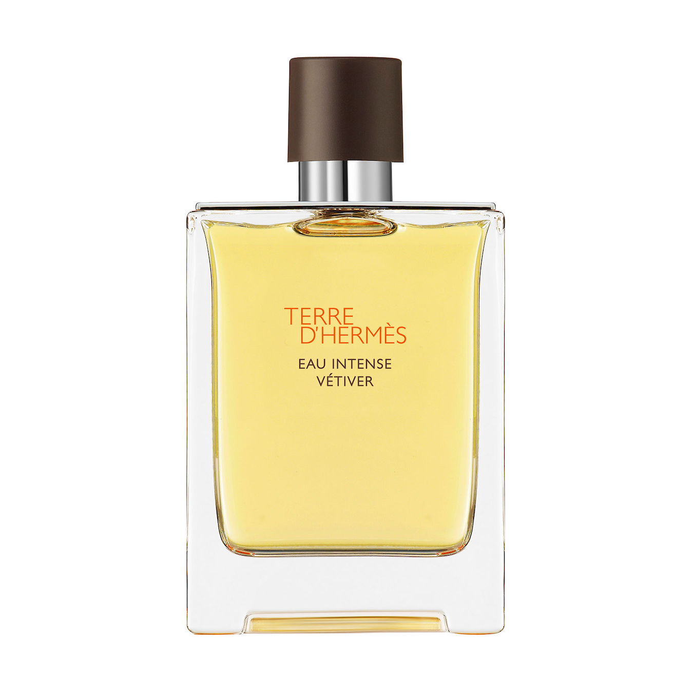 Hermès Terre d'Hermès Eau Intense Vétiver Eau de Parfum 100ml Herren Hermès Terre d'Hermès Eau Intense Vétiver Eau de Parfum 100ml Herren von Hermès