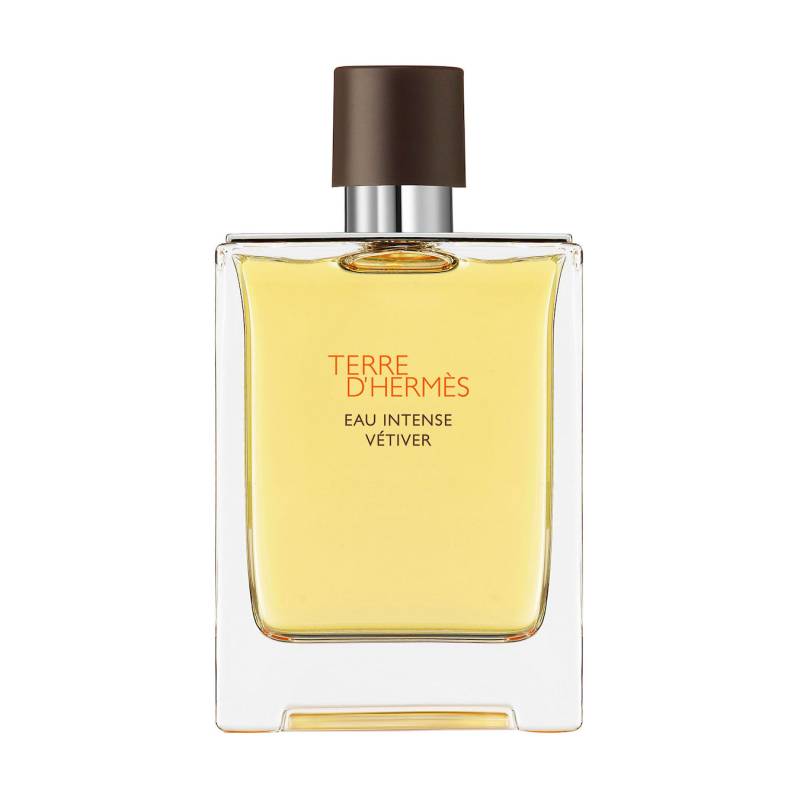 Hermès Terre d'Hermès Eau Intense Vétiver Eau de Parfum 100ml Herren von Hermès