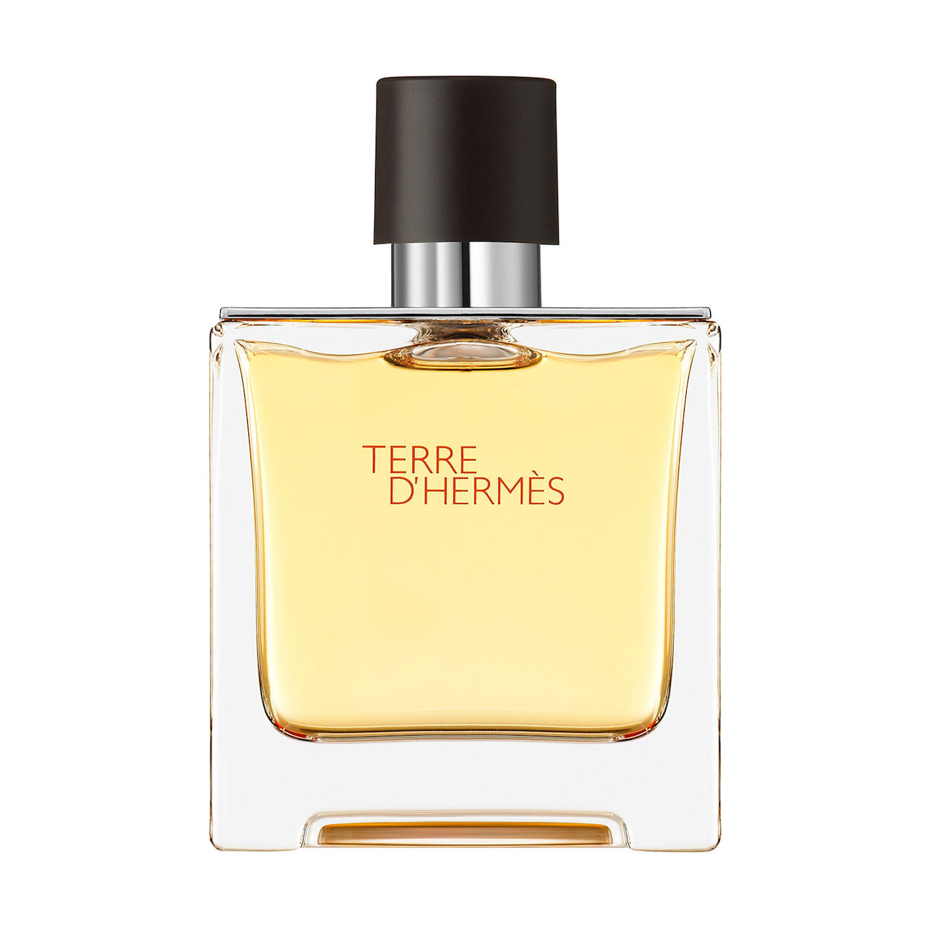 Hermès Terre d'Hermès Eau de Parfum 75ml Herren von Hermès