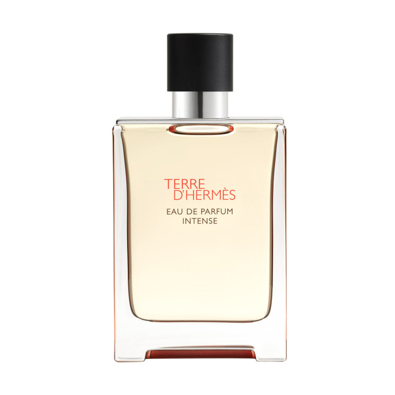 Hermès Terre d’Hermès Eau de Parfum Intense Eau de Parfum 100ml Herren Hermès Terre d’Hermès Eau de Parfum Intense Eau de Parfum 100ml Herren von Hermès
