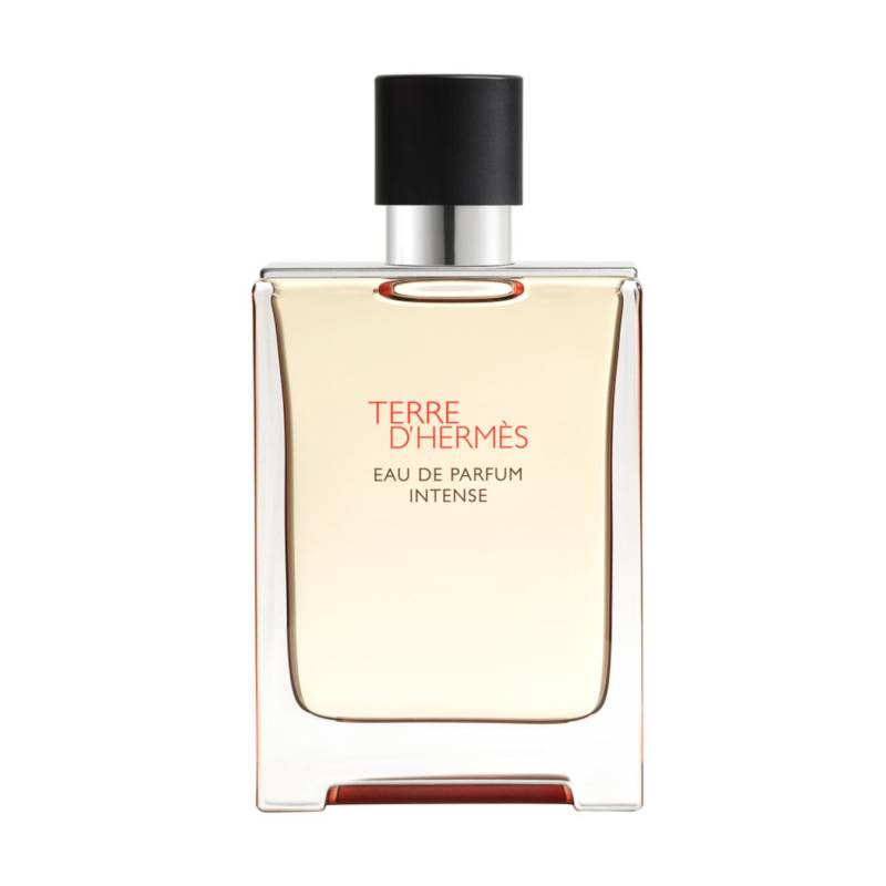 Hermès Terre d’Hermès Eau de Parfum Intense Eau de Parfum 100ml Herren von Hermès