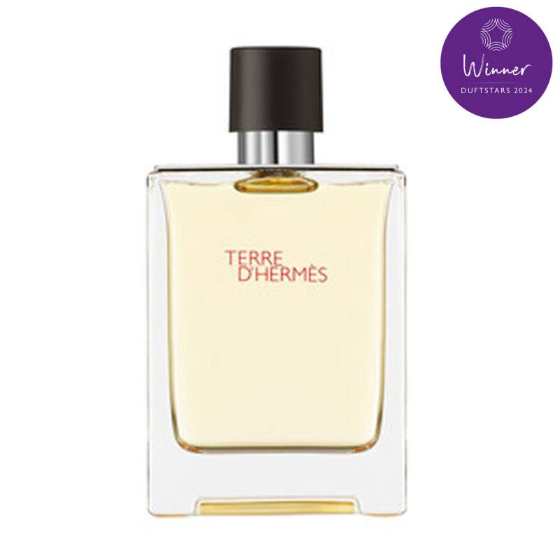 Hermès Terre d'Hermès Eau de Toilette 100ml Herren von Hermès