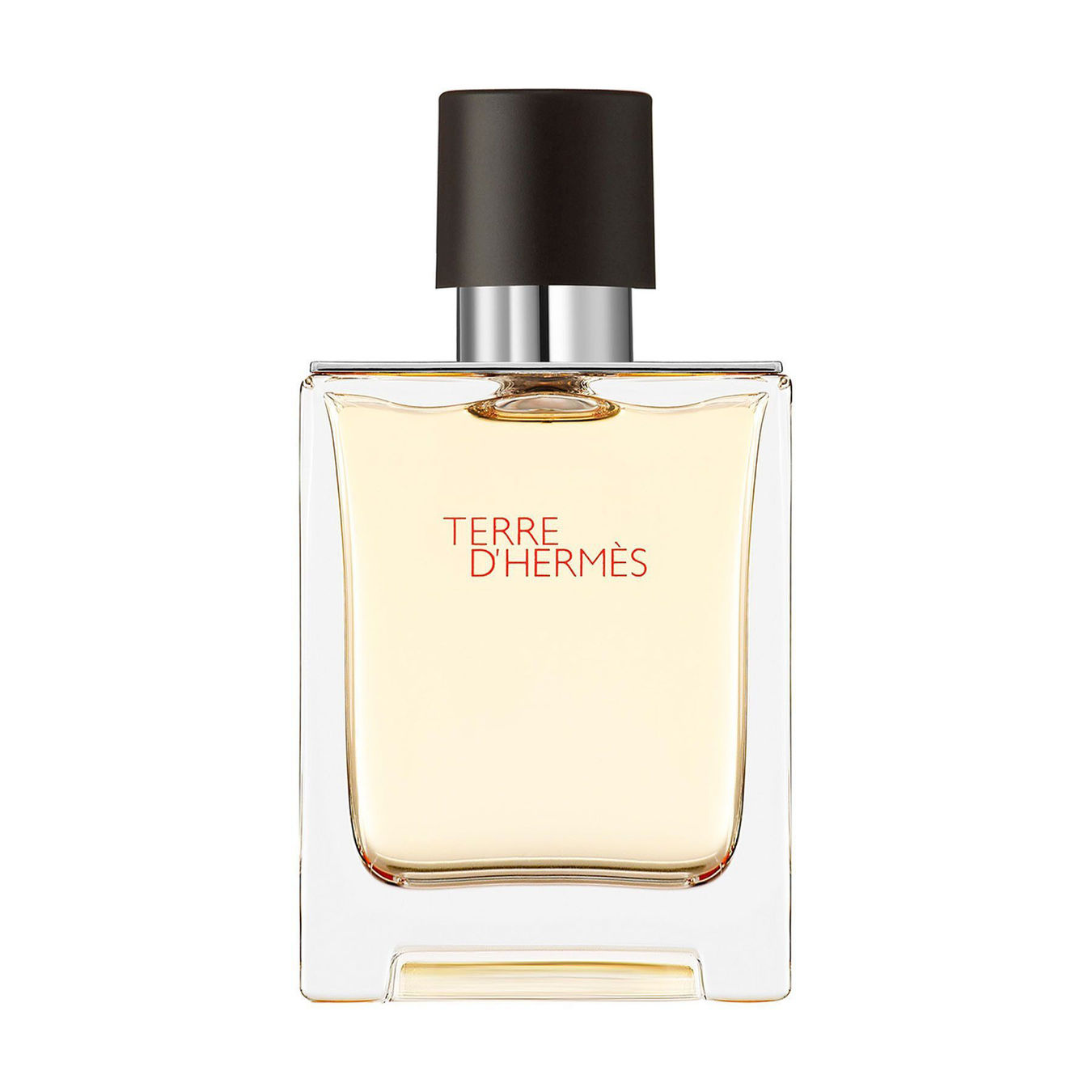 Hermès Terre d'Hermès Eau de Toilette 50ml Herren von Hermès