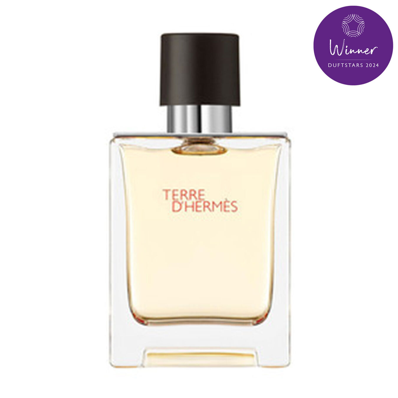 Hermès Terre d'Hermès Eau de Toilette 50ml Herren von Hermès