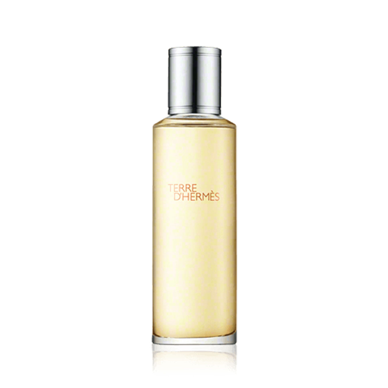 Hermès Terre d'Hermès Eau de Toilette Refill 125ml Herren Hermès Terre d'Hermès Eau de Toilette Refill 125ml Herren von Hermès
