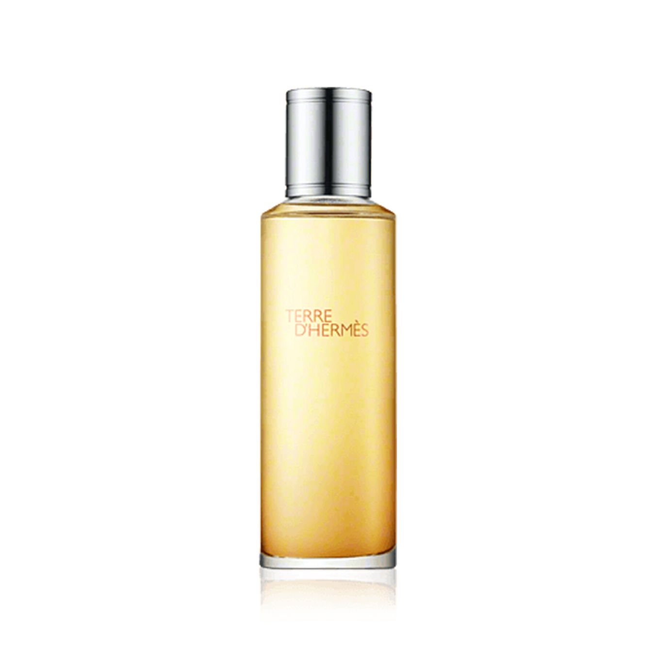 Hermès Terre d'Hermès Parfum Refill 125ml Herren von Hermès