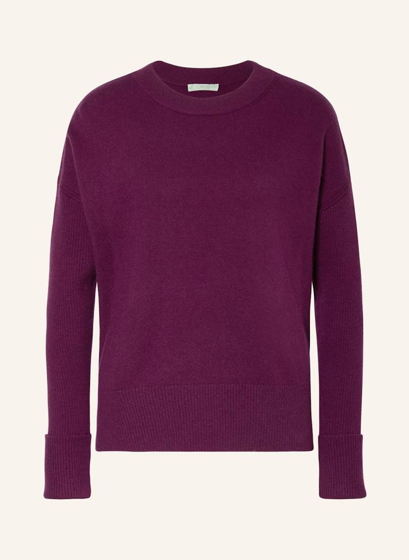 Hobbs Pullover Darla lila von Hobbs