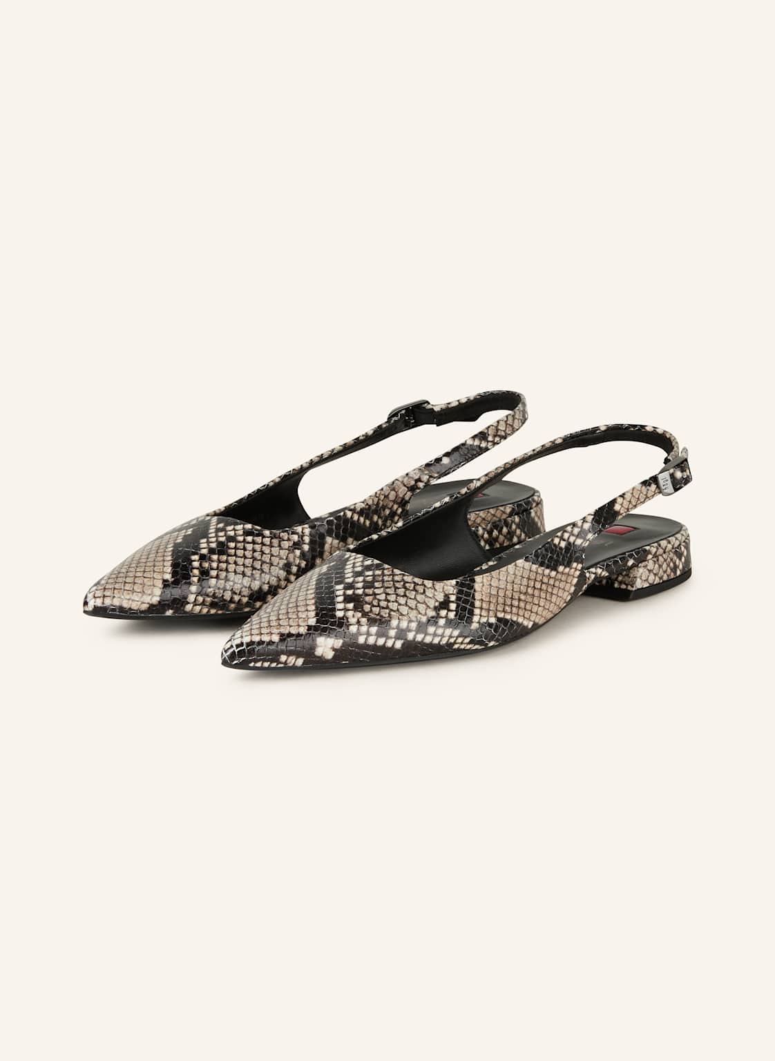 Högl Slingballerinas beige Högl Slingballerinas beige von Högl