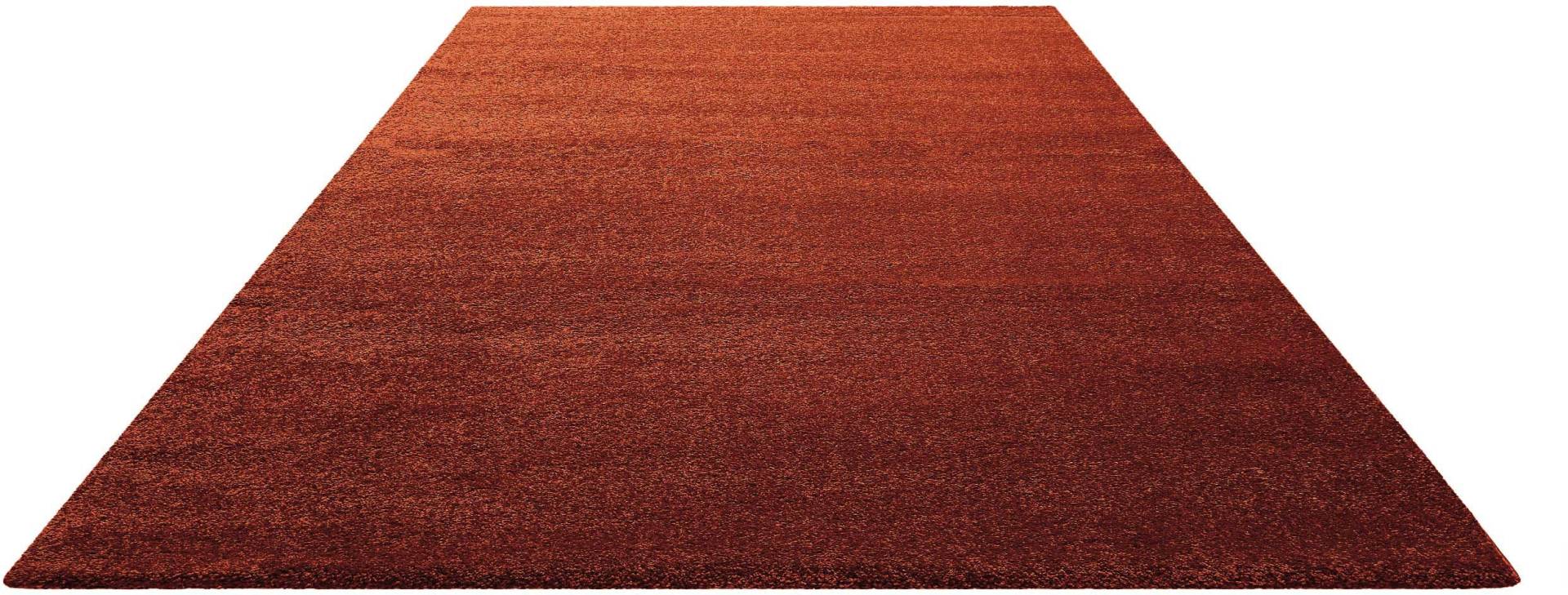 Homie Living Teppich »Lido HL-822937«, rechteckig, 18 mm Höhe Homie Living Teppich »Lido HL-822937«, rechteckig, 18 mm Höhe von Homie Living