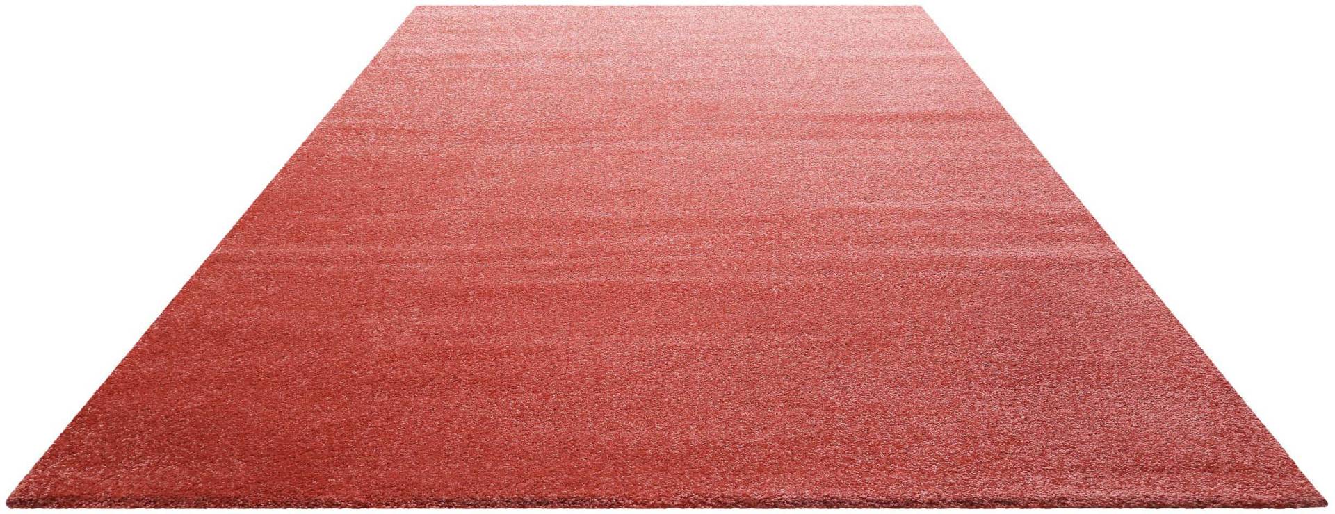 Homie Living Teppich »Lido HL-822937«, rechteckig, 18 mm Höhe Homie Living Teppich »Lido HL-822937«, rechteckig, 18 mm Höhe von Homie Living