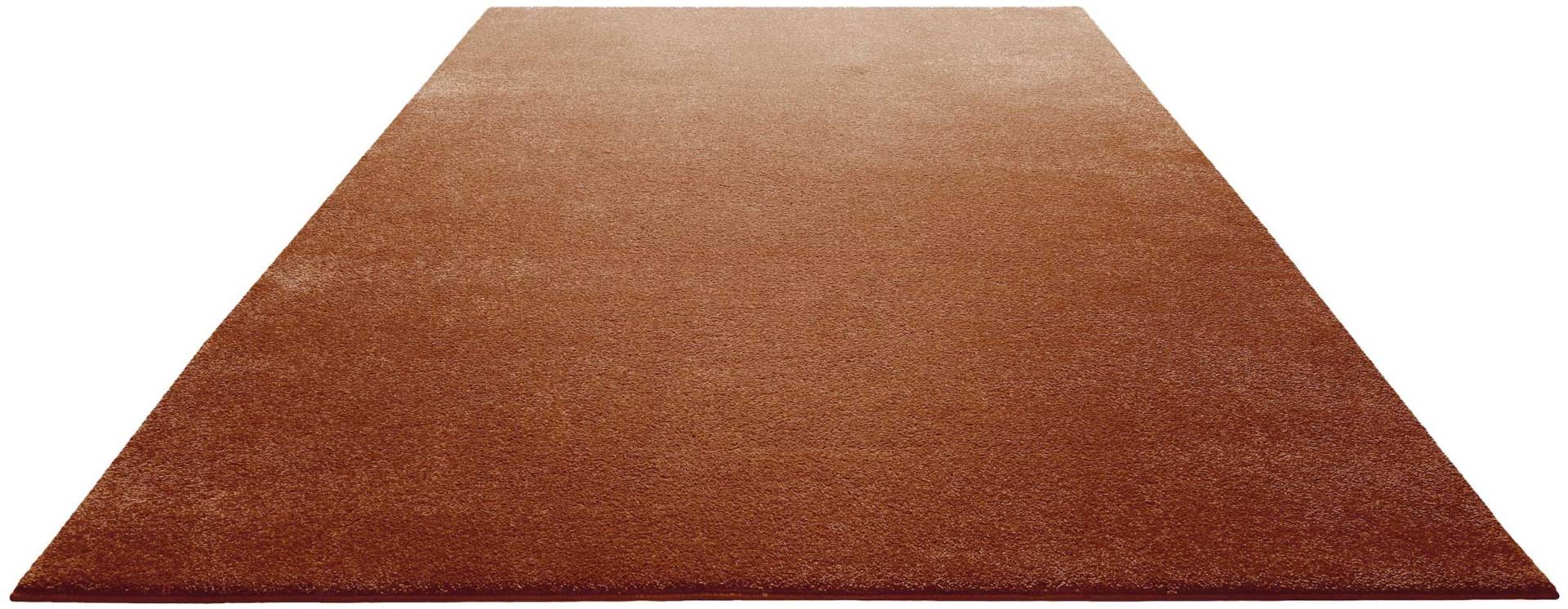 Homie Living Teppich »Venice HL-0135«, rechteckig, 17 mm Höhe Homie Living Teppich »Venice HL-0135«, rechteckig, 17 mm Höhe von Homie Living