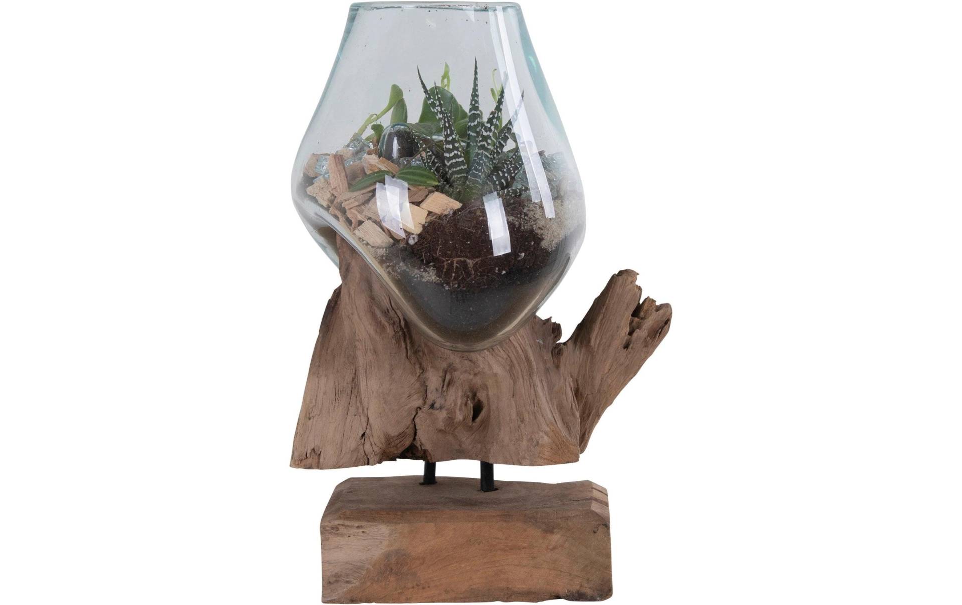 House Nordic Dekoschale »San Marino 25 x 18 x 15 cm 1«, Holzart: Teakholz (Indonesien) House Nordic Dekoschale »San Marino 25 x 18 x 15 cm 1«, Holzart: Teakholz (Indonesien) von House Nordic