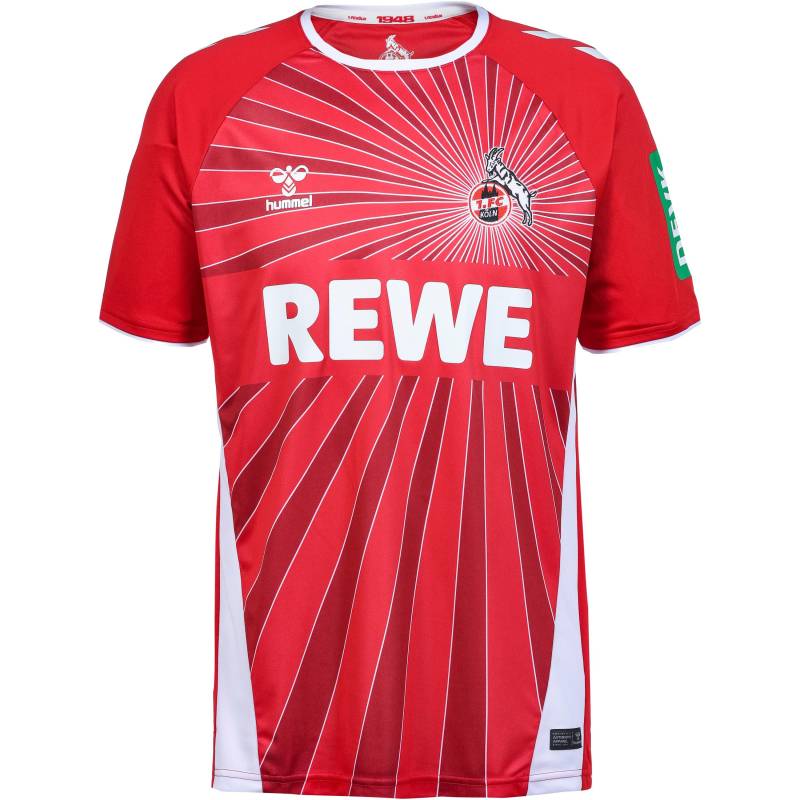 hummel 1. FC Köln 24-25 Auswärts Teamtrikot Herren von Hummel