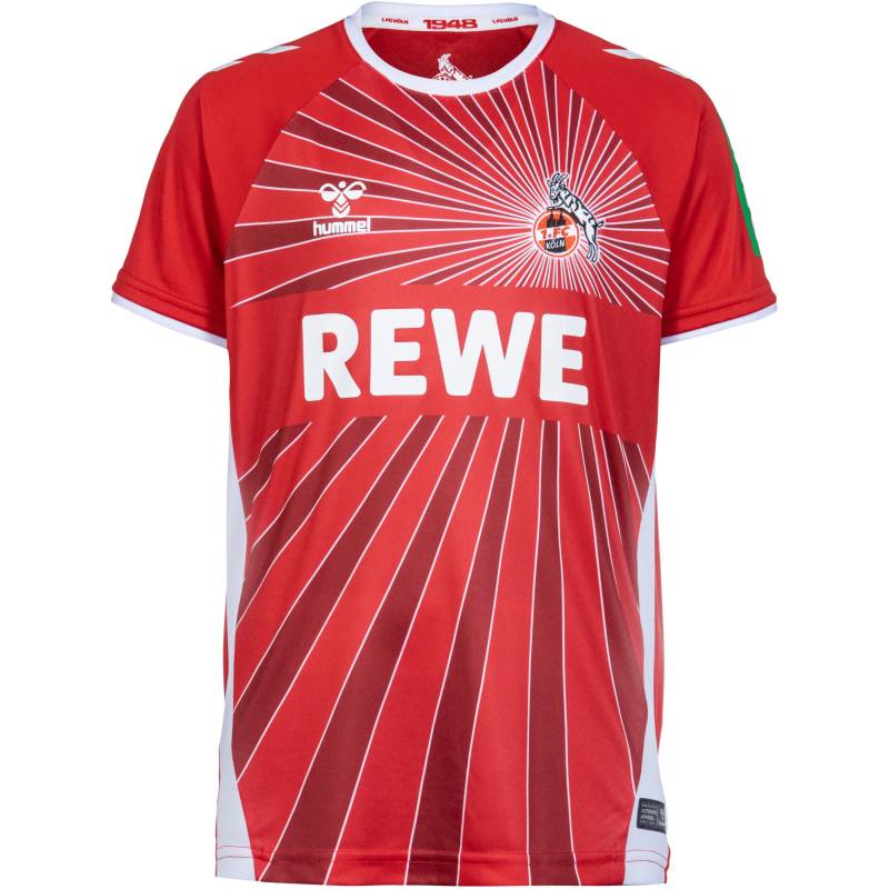 hummel 1. FC Köln 24-25 Auswärts Teamtrikot Kinder von Hummel