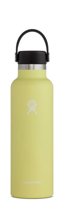 Hydro Flask Standard Mouth 21 oz Thermosflasche gelb von Hydro Flask