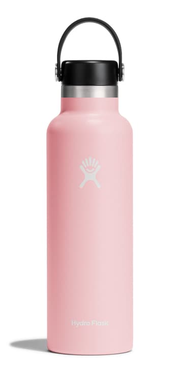 Hydro Flask Standard Mouth 21 oz Thermosflasche rosa Hydro Flask Standard Mouth 21 oz Thermosflasche rosa von Hydro Flask