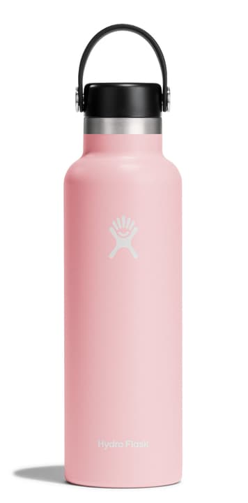 Hydro Flask Standard Mouth 21 oz Thermosflasche rosa von Hydro Flask