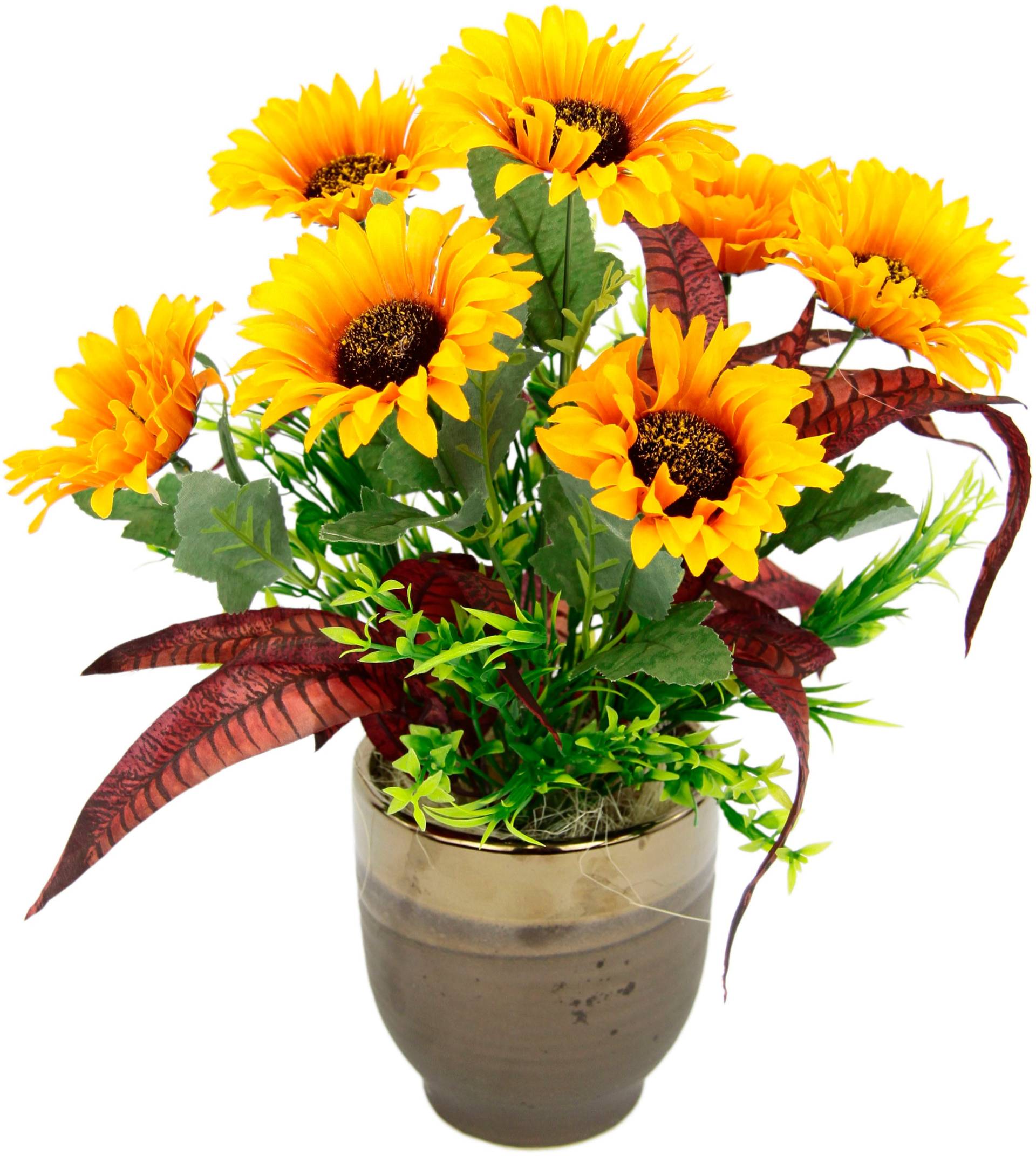 I.GE.A. Gestecke »Sonnenblumen«, Im Topf aus Keramik I.GE.A. Gestecke »Sonnenblumen«, Im Topf aus Keramik von I.GE.A.
