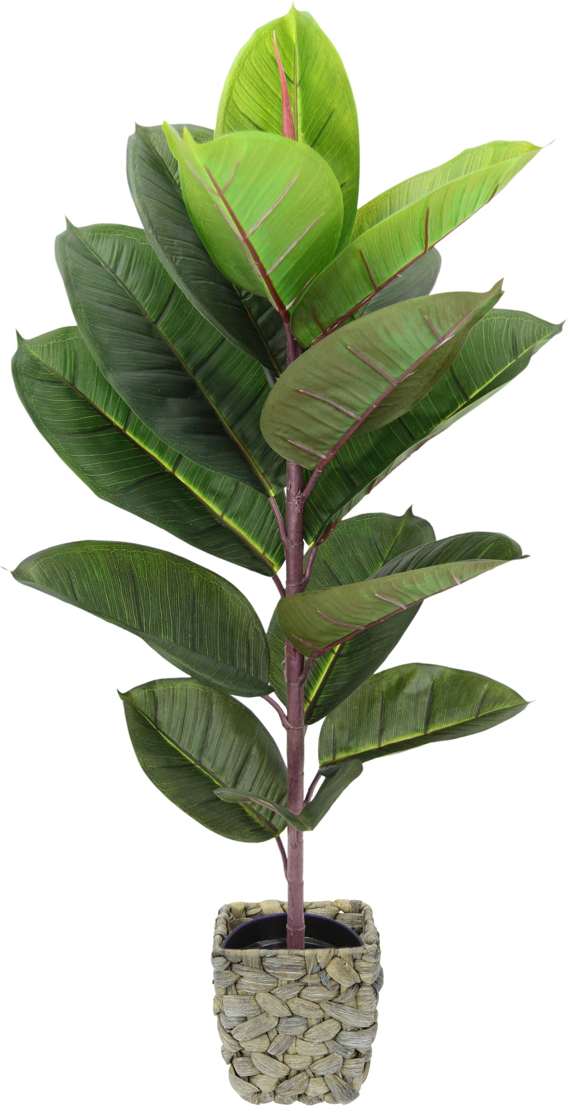 I.GE.A. Kunstbaum »Gummibaum«, Mit Übertopf, Ficus Elastica I.GE.A. Kunstbaum »Gummibaum«, Mit Übertopf, Ficus Elastica von I.GE.A.