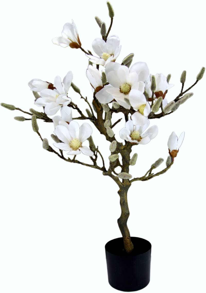 I.GE.A. Kunstbaum »Magnolienbaum«, im Kunststofftopf von I.GE.A.