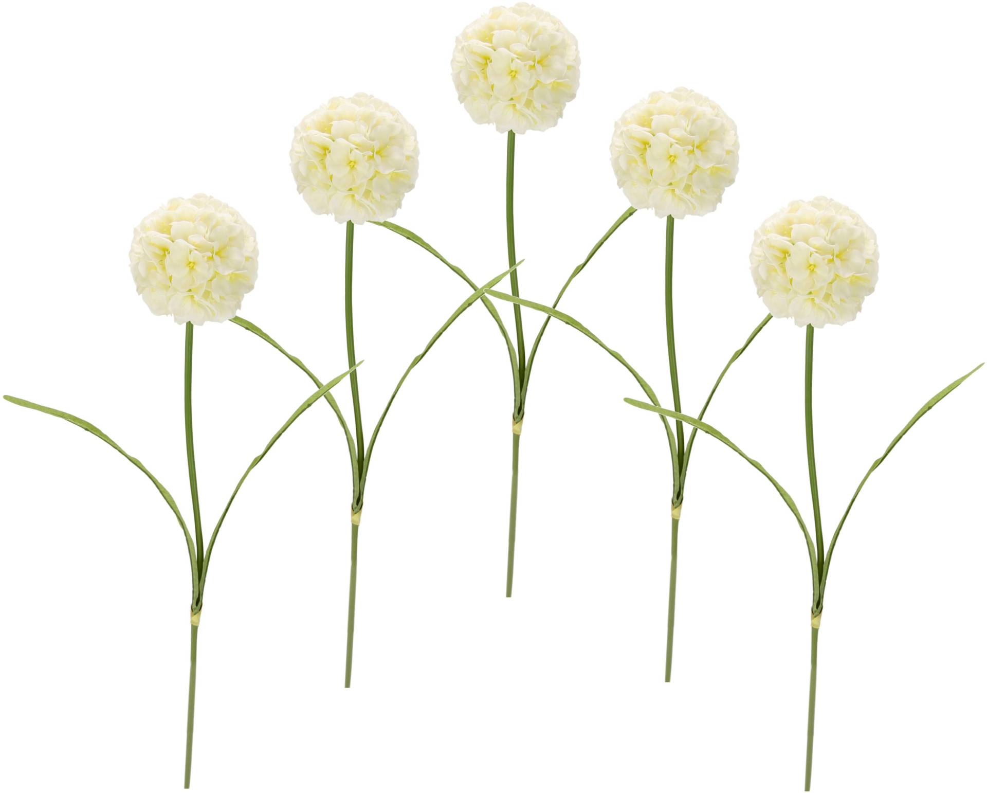 I.GE.A. Kunstblume »Allium«, 5er Set von I.GE.A.