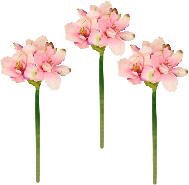 I.GE.A. Kunstblume »Amaryllis«, Kunst-Stielblume, 3er Set von I.GE.A.