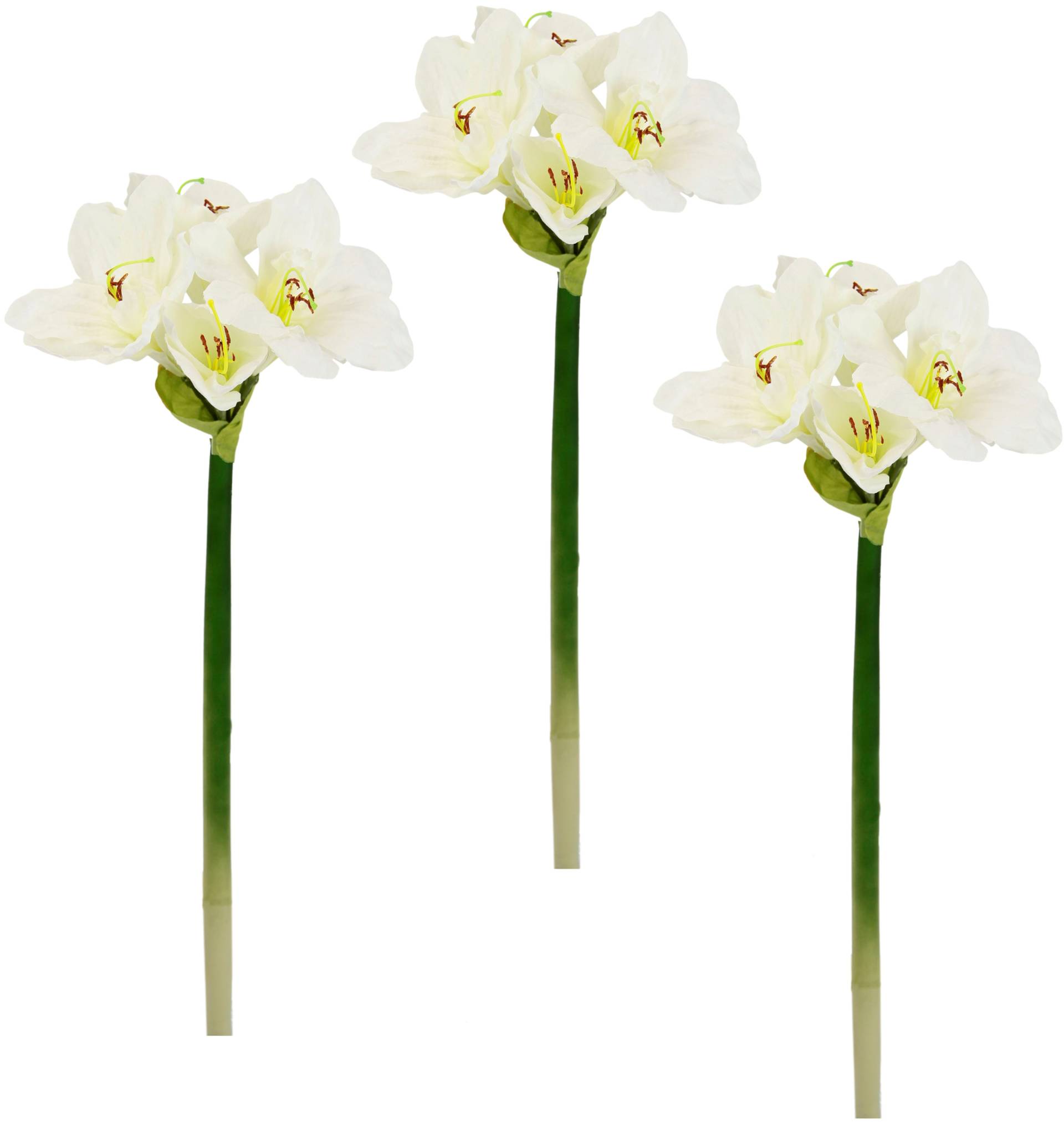 I.GE.A. Kunstblume »Amaryllis«, Kunst-Stielblume, 3er Set von I.GE.A.