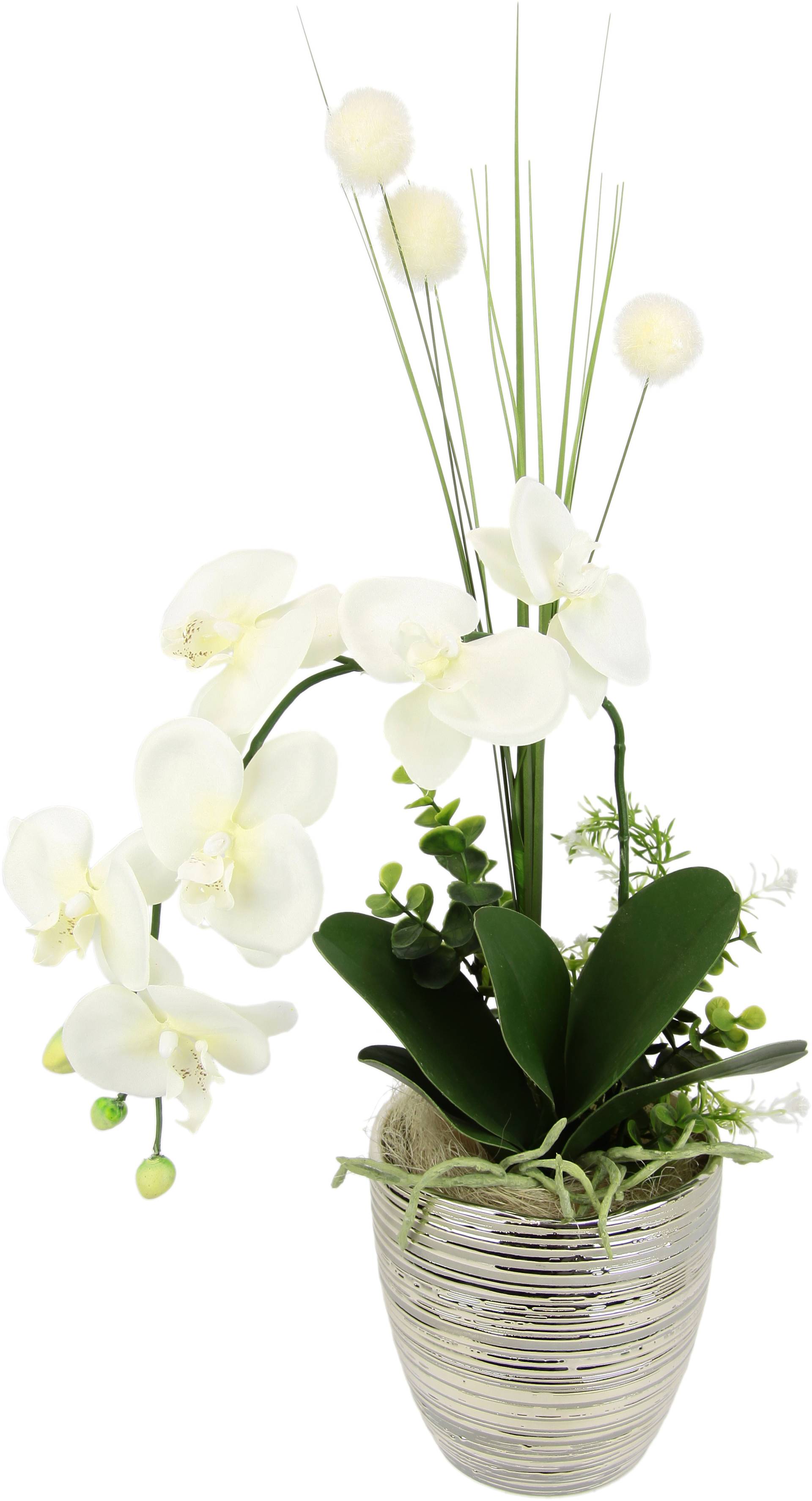 I.GE.A. Kunstblume »Arrangement Orchidee/Gras«, Topf aus Keramik I.GE.A. Kunstblume »Arrangement Orchidee/Gras«, Topf aus Keramik von I.GE.A.