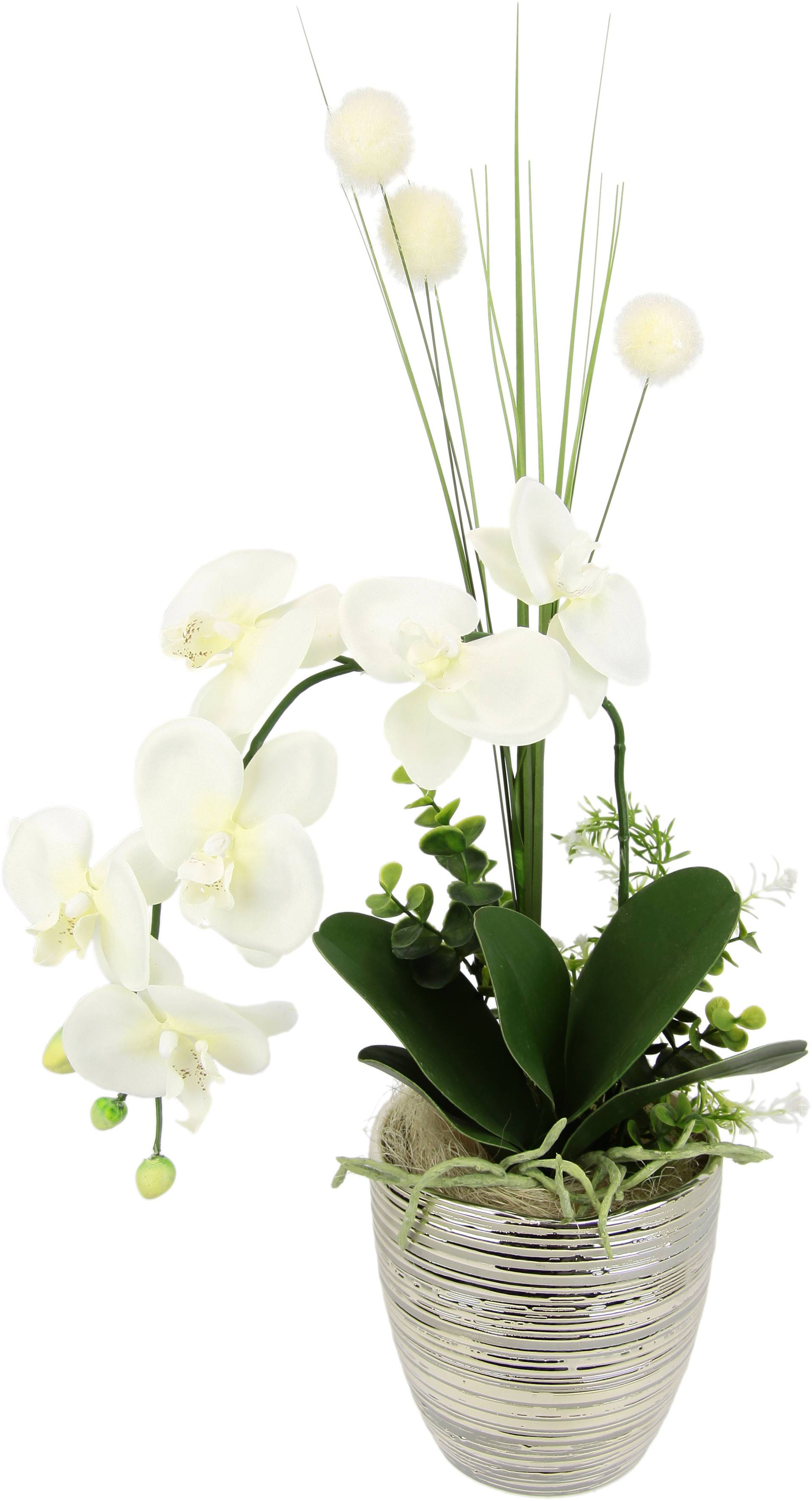 I.GE.A. Kunstblume »Arrangement Orchidee/Gras«, Topf aus Keramik von I.GE.A.