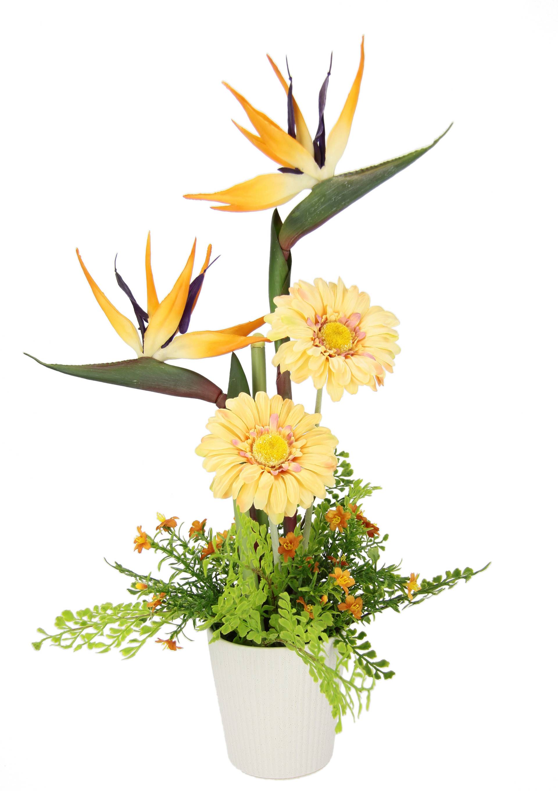 I.GE.A. Kunstblume »Arrangement Strelitzie/Gerbera«, Topf aus Keramik von I.GE.A.