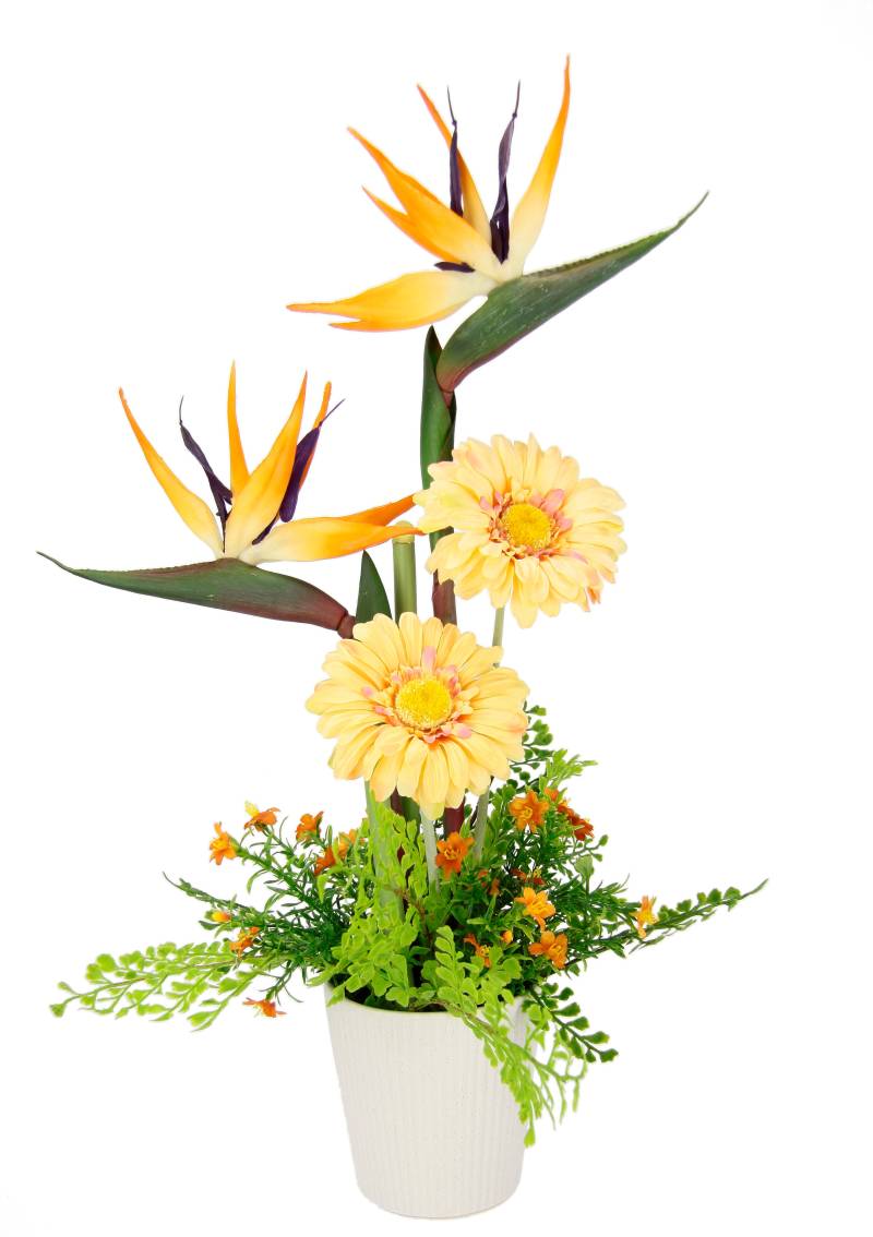 I.GE.A. Kunstblume »Arrangement Strelitzie/Gerbera«, Topf aus Keramik von I.GE.A.