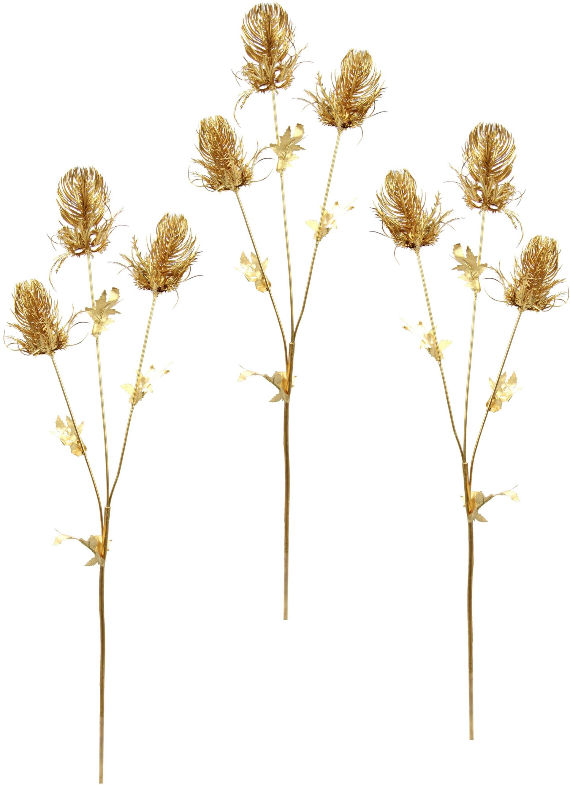 I.GE.A. Kunstblume »Banksia«, Kunstzweig, 3er Set I.GE.A. Kunstblume »Banksia«, Kunstzweig, 3er Set von I.GE.A.
