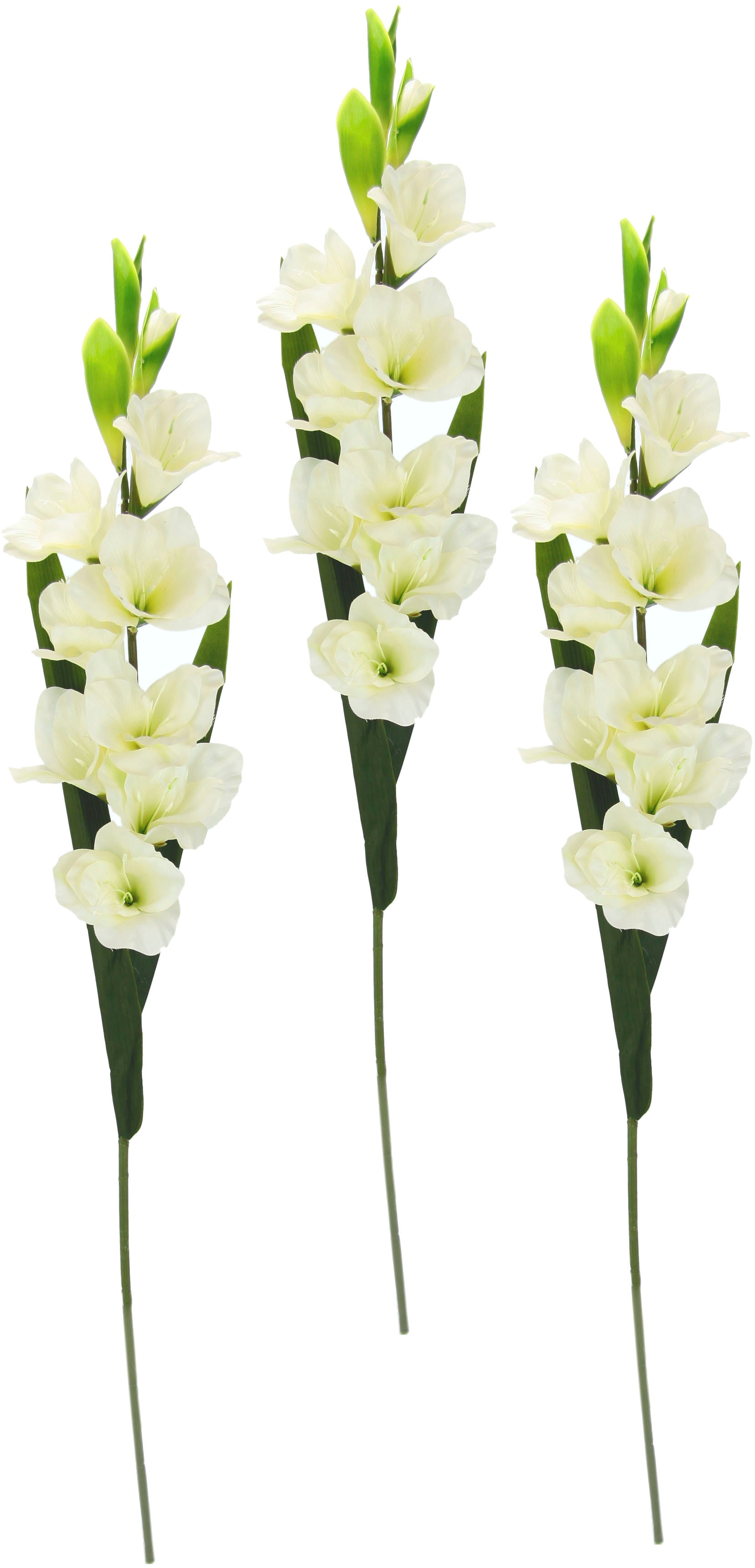 I.GE.A. Kunstblume »Gladiole«, 3er Set von I.GE.A.