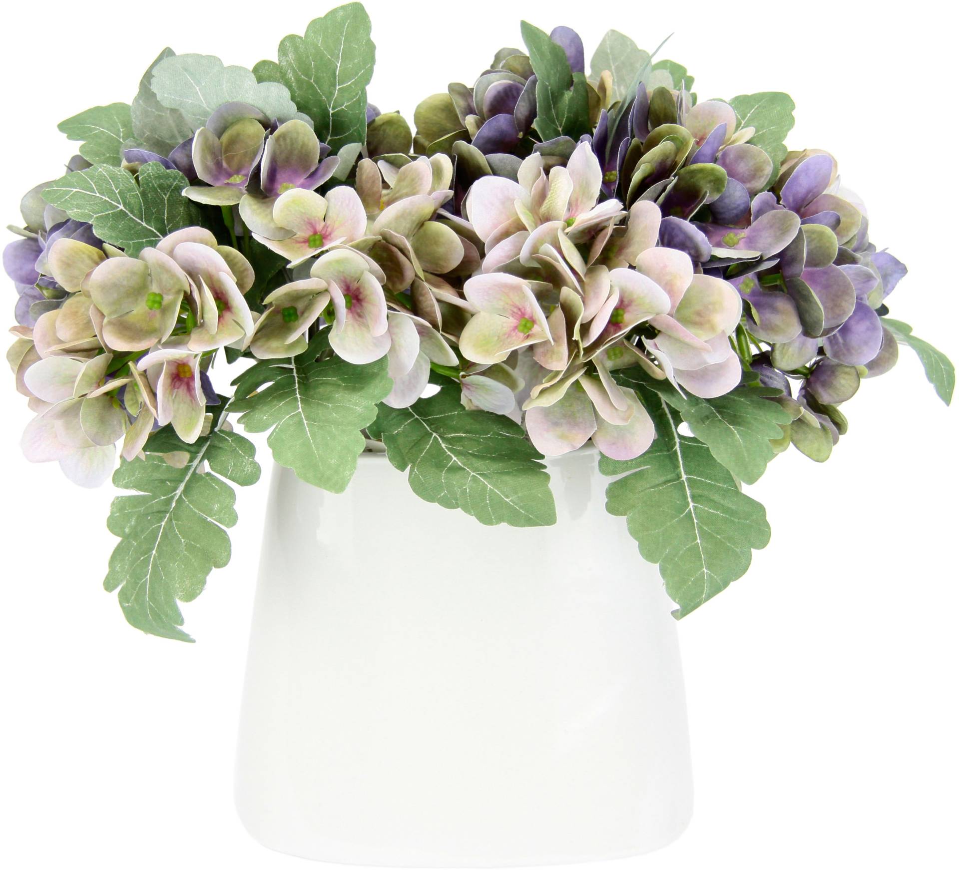 I.GE.A. Kunstblume »Hortensienbusch«, In Keramikvase I.GE.A. Kunstblume »Hortensienbusch«, In Keramikvase von I.GE.A.