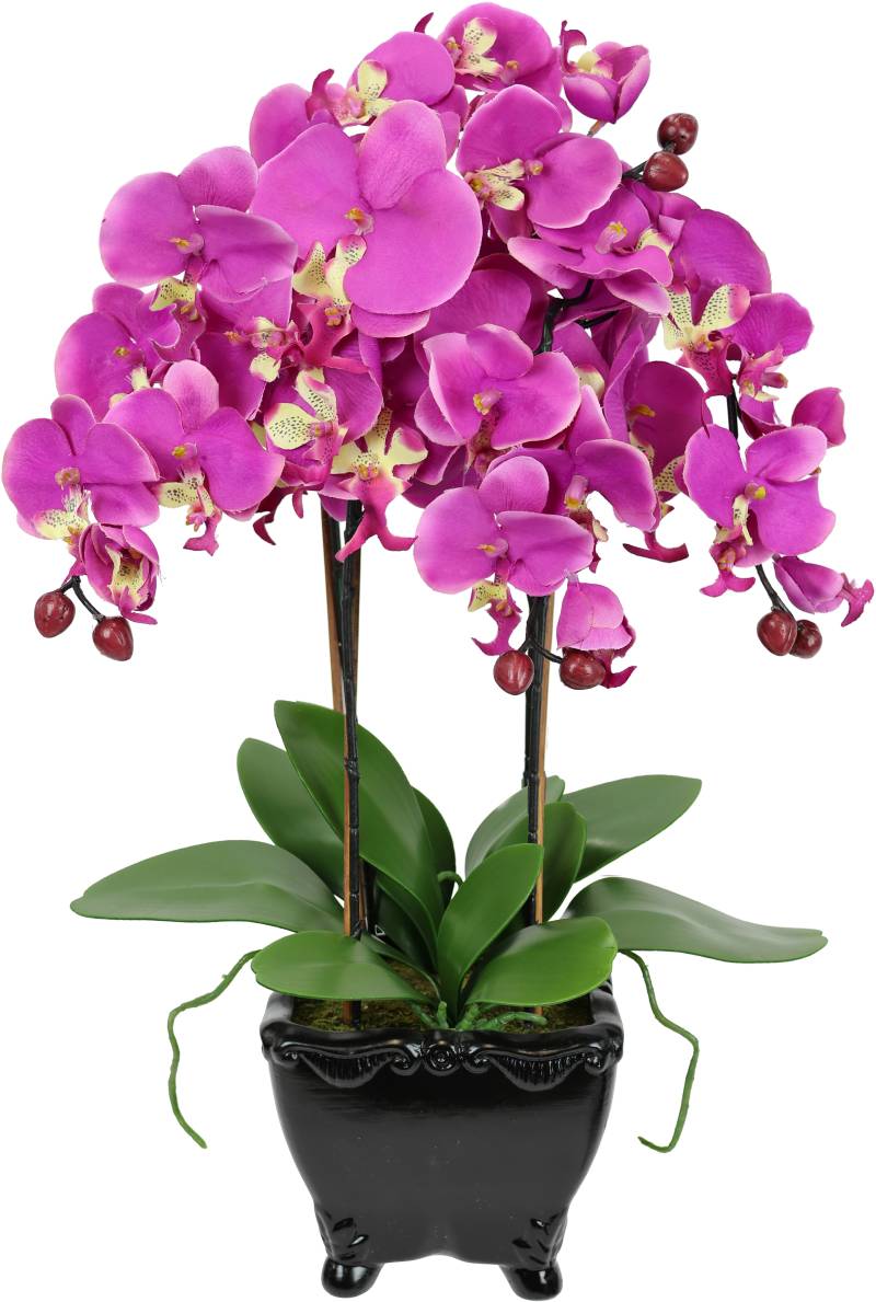 I.GE.A. Kunstblume »Künstliche Orchidee in Schale Phalaenopsis Kunstblume Blume«, Kunstorchidee Deko Dekoblume Seidenblume von I.GE.A.