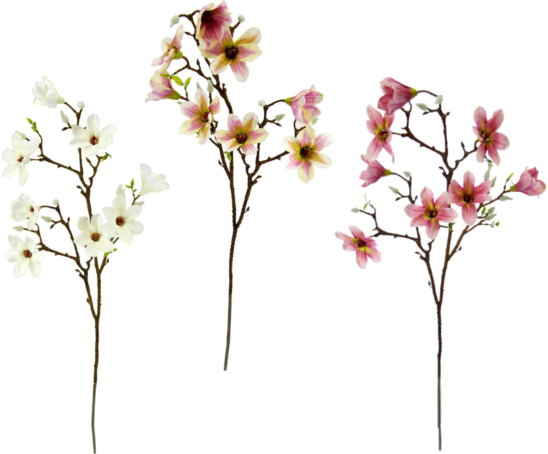 I.GE.A. Kunstblume »Magnolienzweig«, 3er Set von I.GE.A.