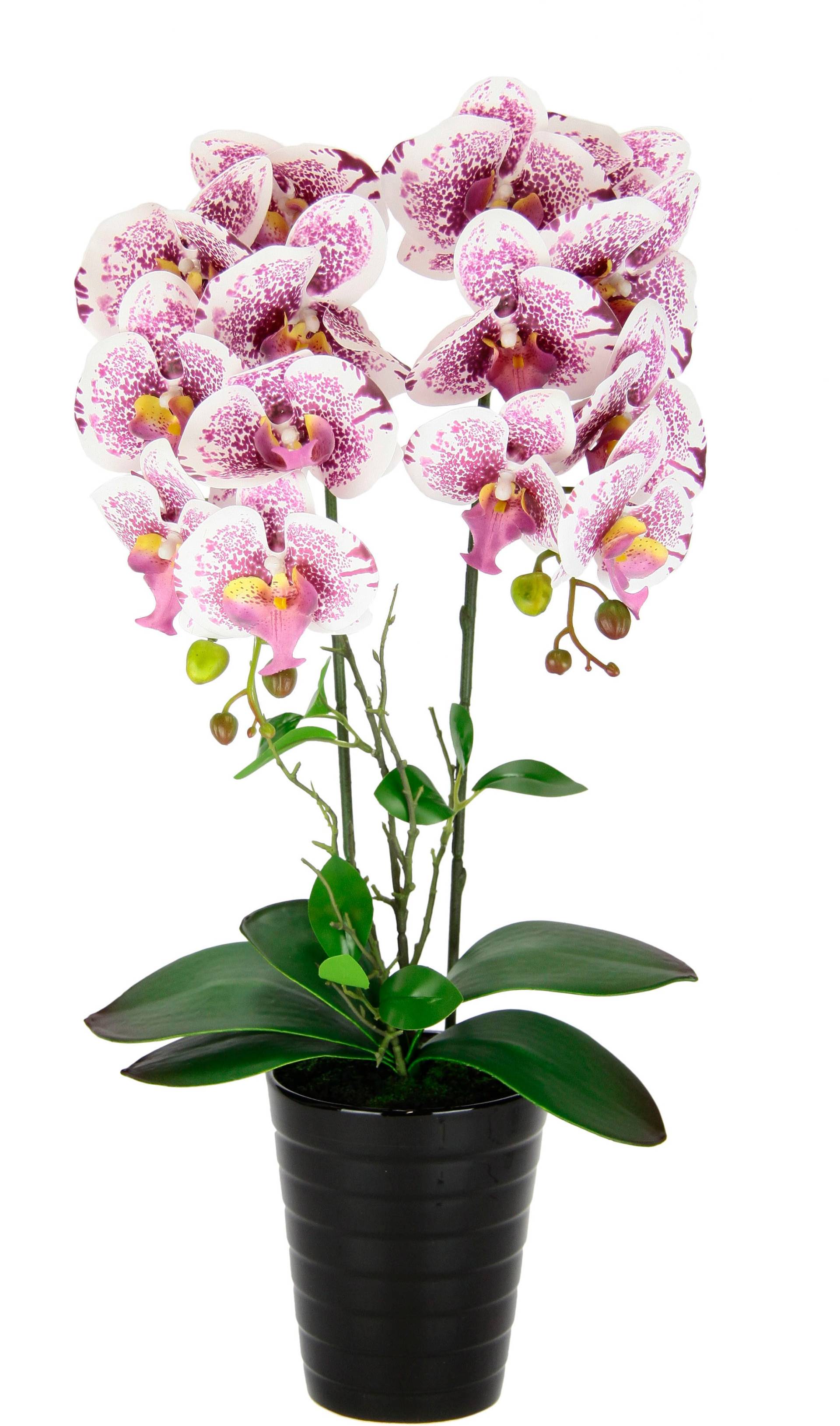 I.GE.A. Kunstblume »Orchidee«, Im Topf Phalaenopsis Orchidee Phalaenopsis mit Übertopf Hochzeit von I.GE.A.