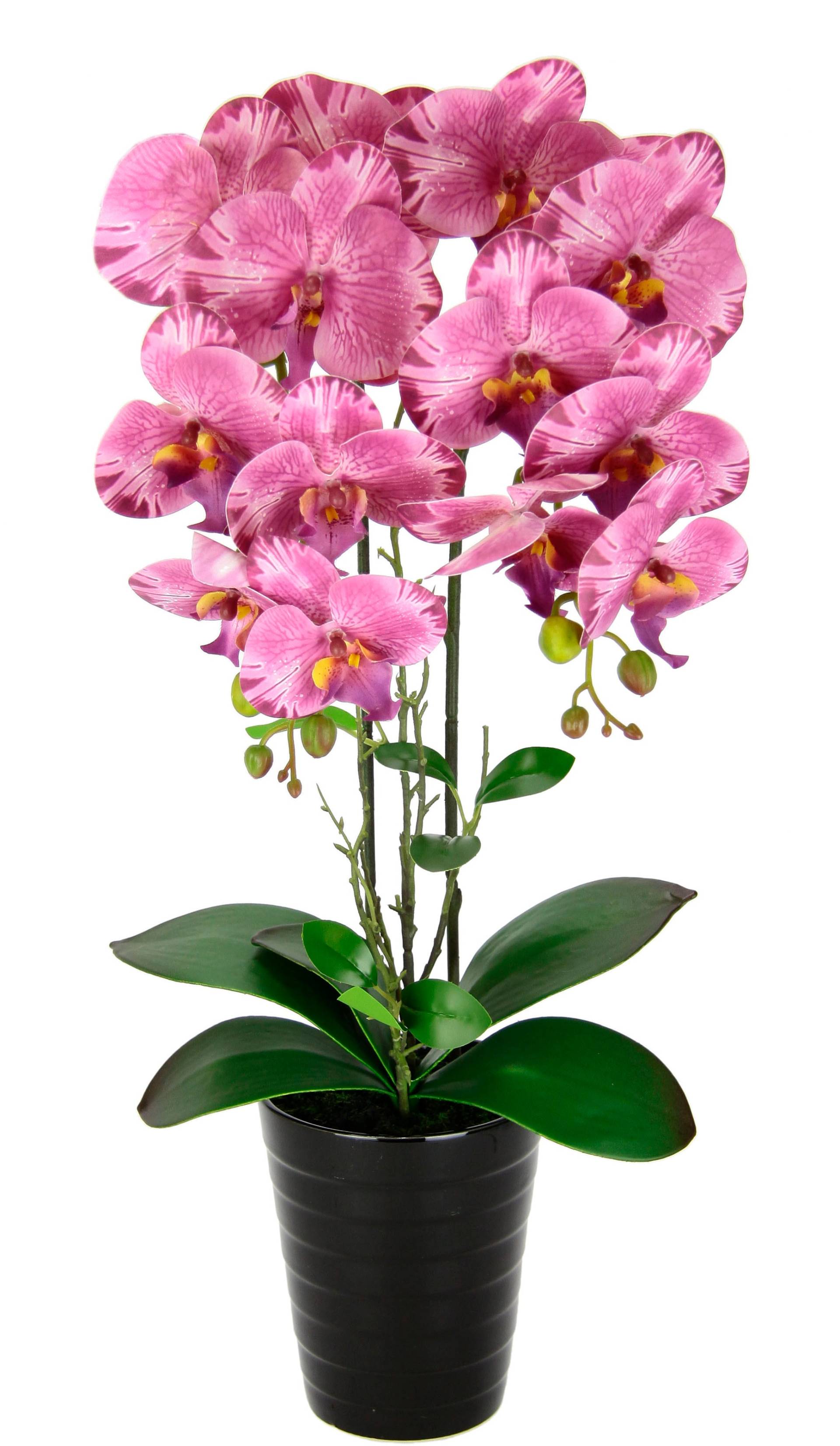 I.GE.A. Kunstblume »Orchidee«, Im Topf Phalaenopsis Orchidee Phalaenopsis mit Übertopf Hochzeit von I.GE.A.