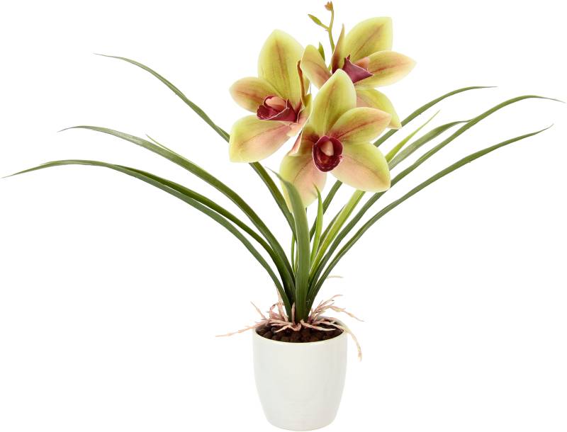 I.GE.A. Kunstblume »Orchidee«, Mit Blätter im Topf aus Keramik Künstliche Blume Cymbidium-Orchidee von I.GE.A.