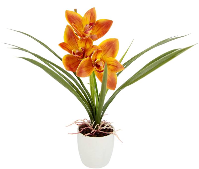 I.GE.A. Kunstblume »Orchidee«, Mit Blätter im Topf aus Keramik Künstliche Blume Cymbidium-Orchidee von I.GE.A.