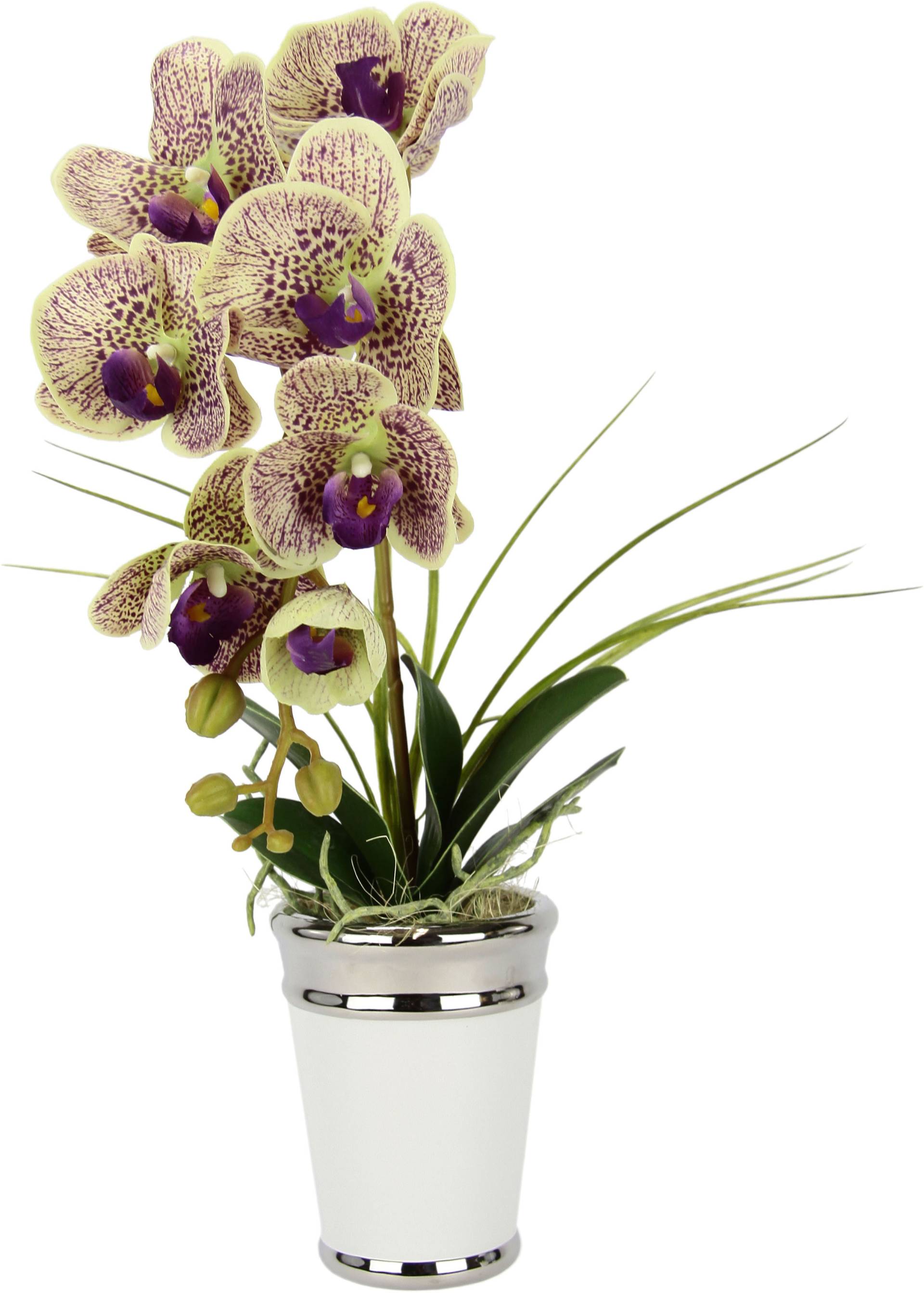 I.GE.A. Kunstblume »Orchidee«, im Topf, aus Keramik, Seidenblume Real Touch von I.GE.A.