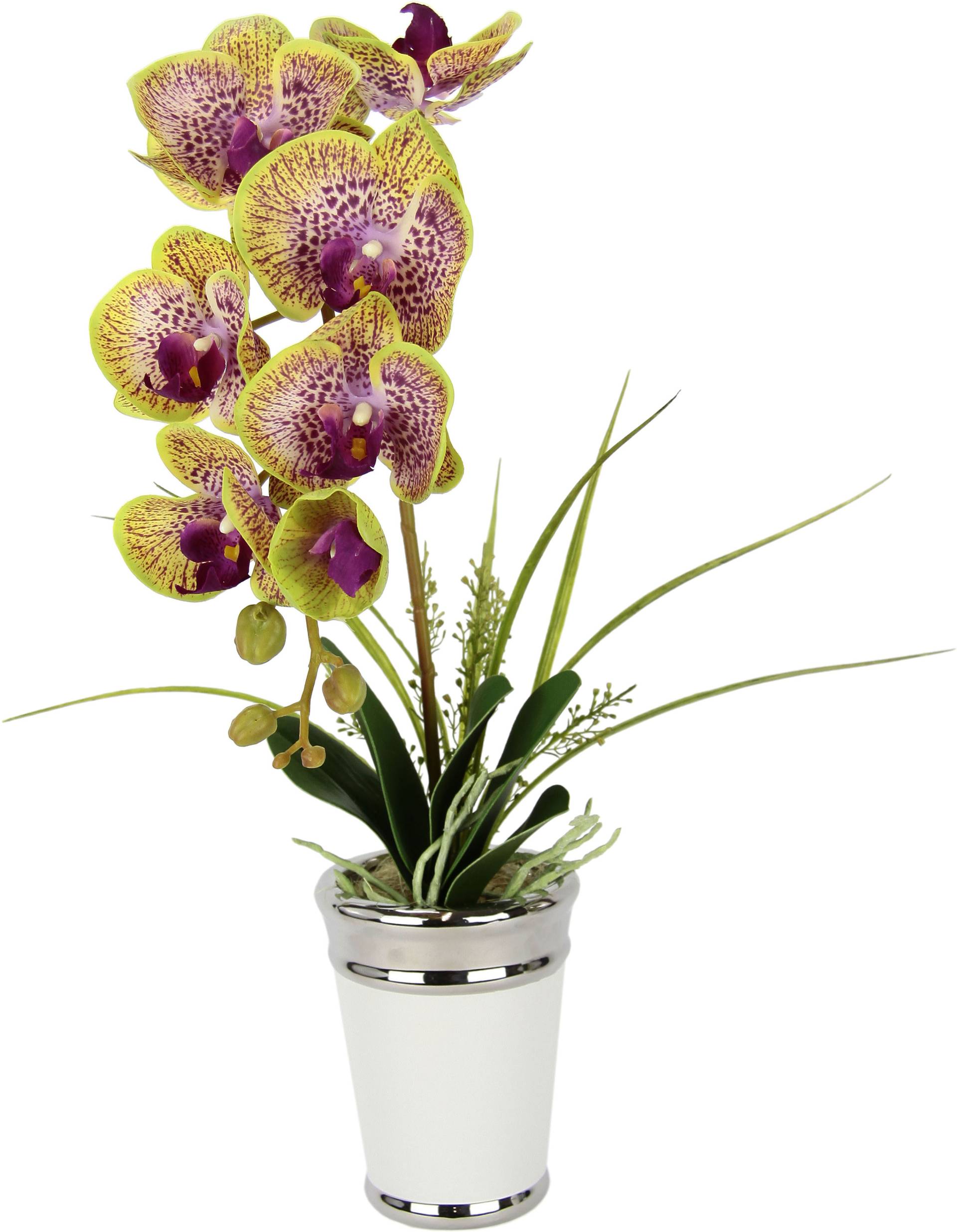 I.GE.A. Kunstblume »Orchidee«, im Topf, aus Keramik, Seidenblume Real Touch von I.GE.A.